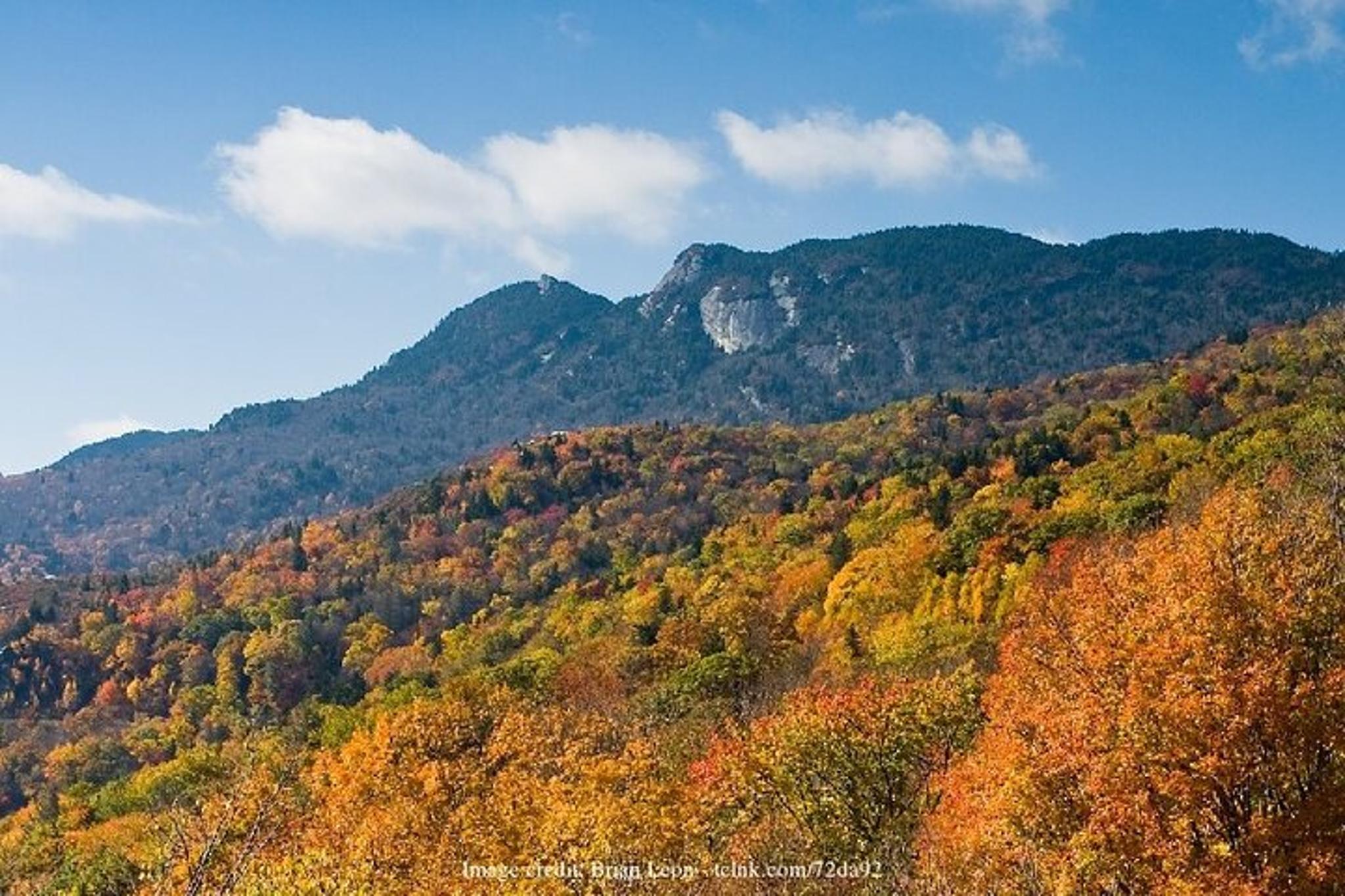 Asheville Walking Tour - Image 5