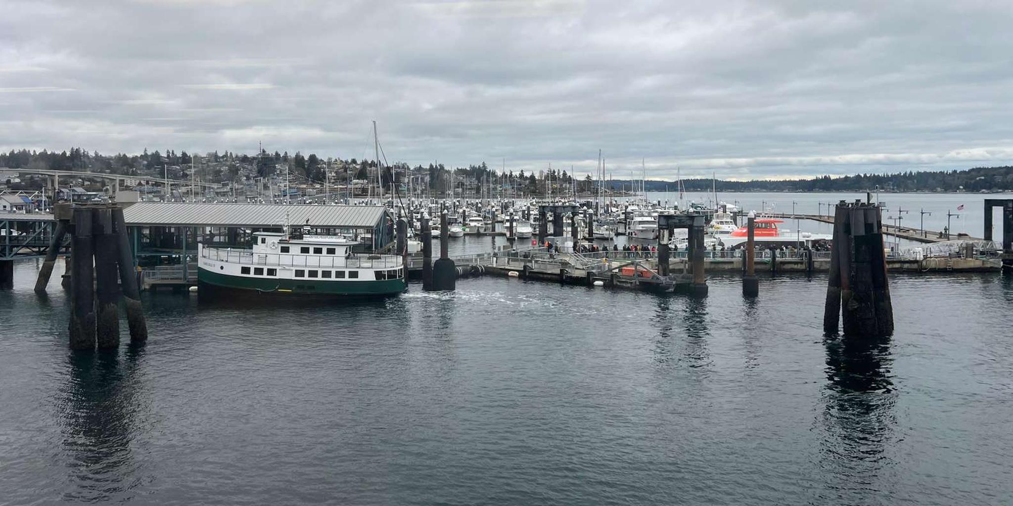 Seattle Electric Bike Tour of West Seattle - Image 6