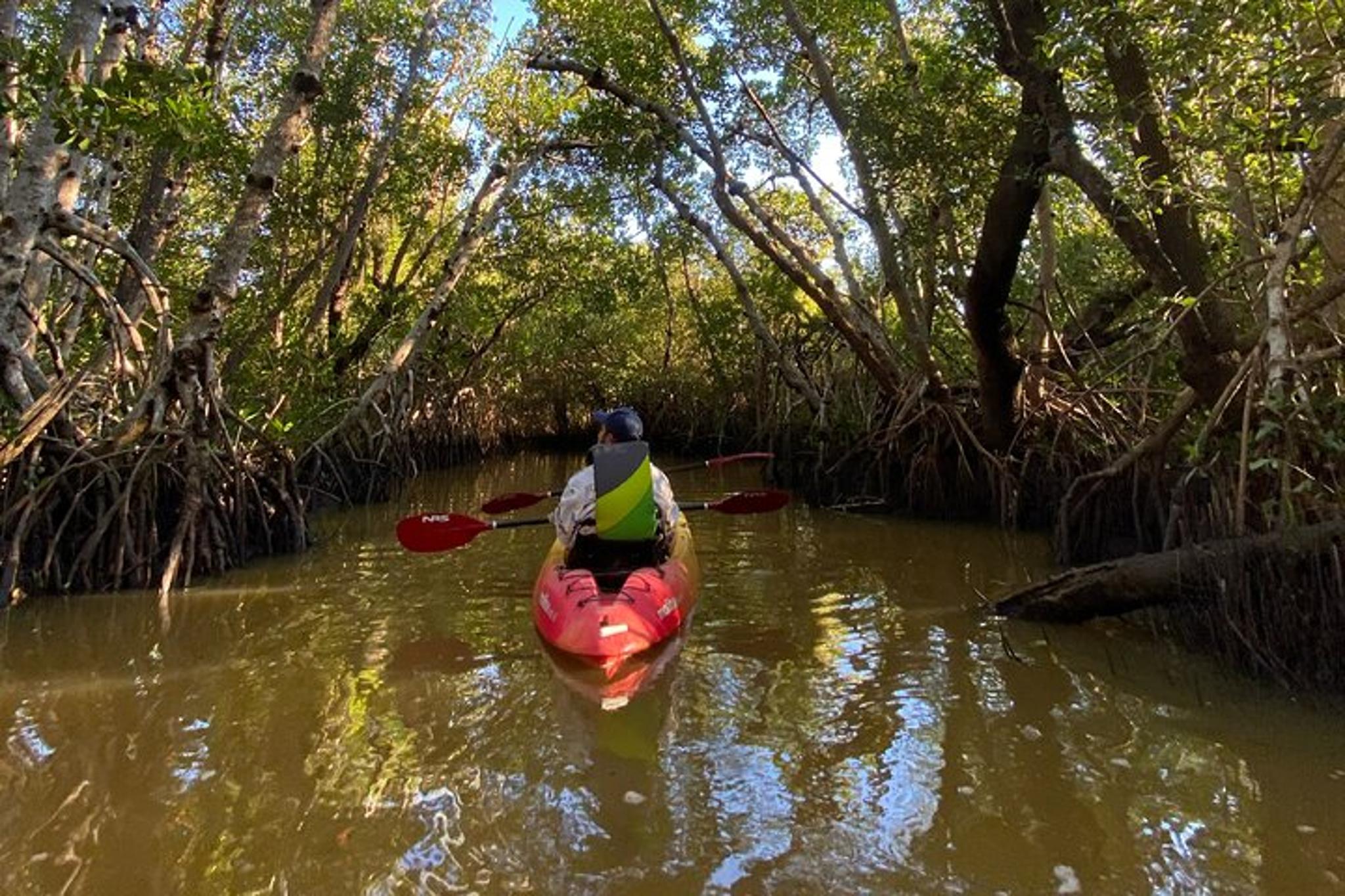 Everglades Kayak and Canoe Rental - Image 4