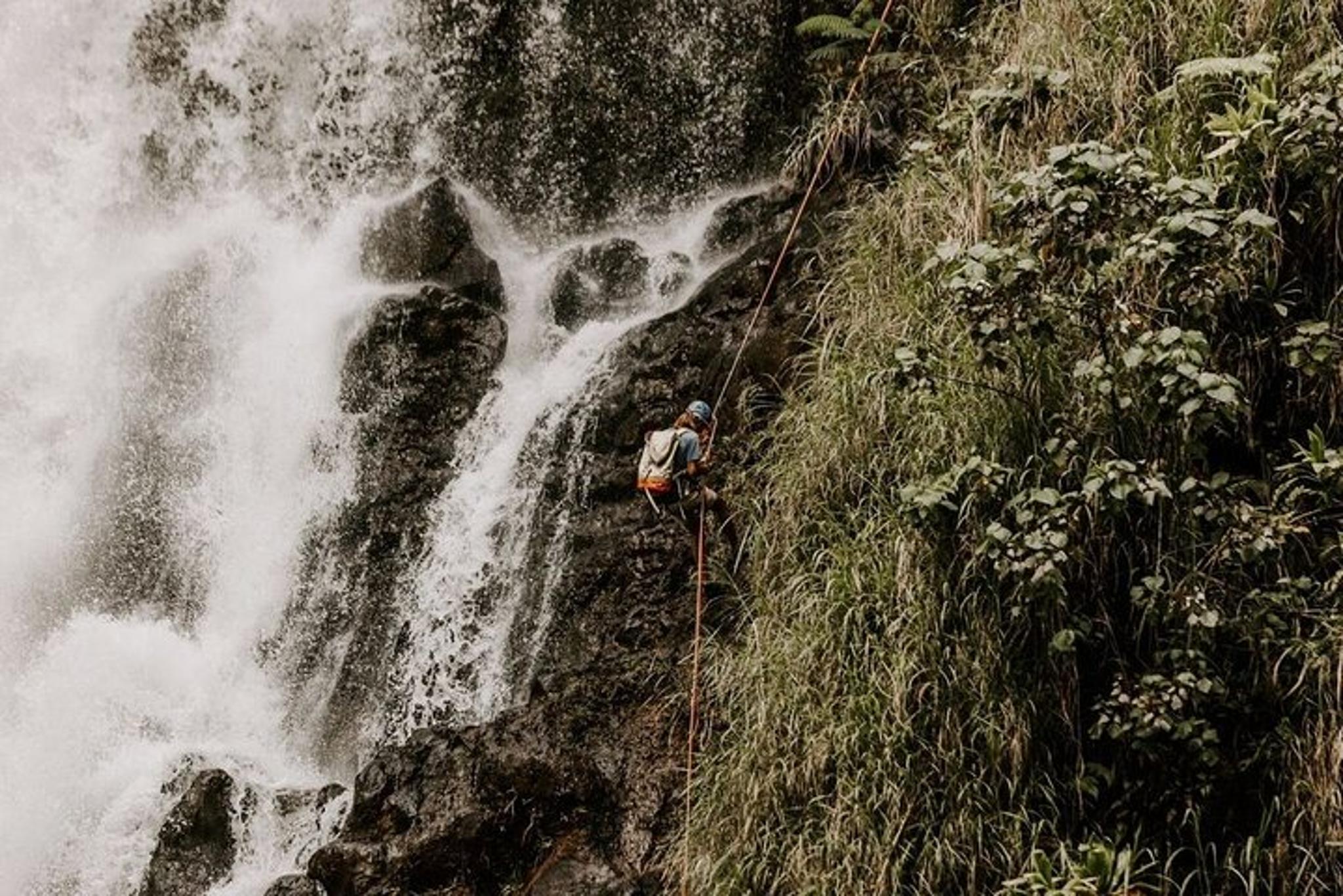 Hilo Waterfall Rappelling at Kulaniapia Falls - Image 5