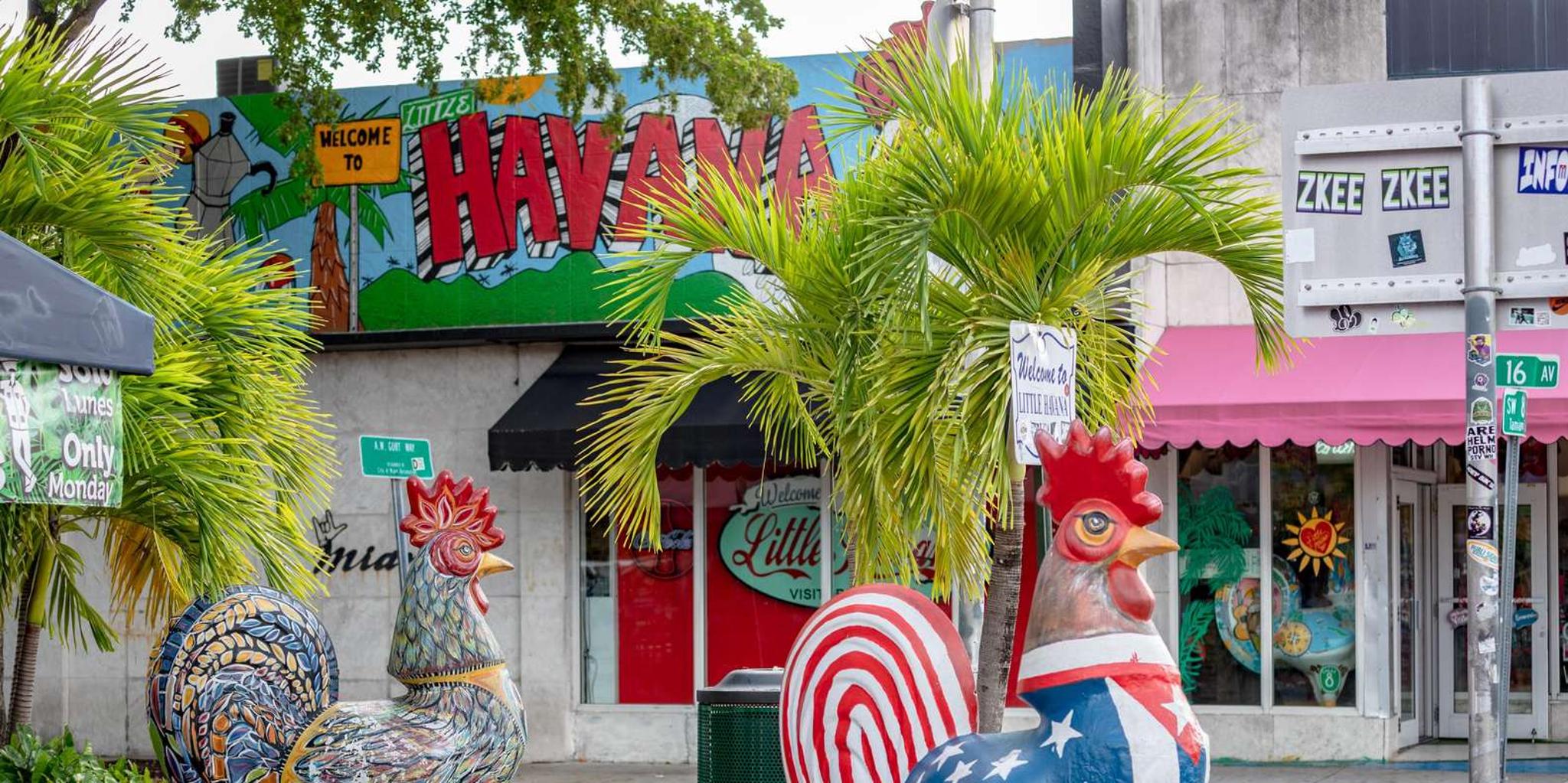 Miami Little Havana Walking Tour - Image 5
