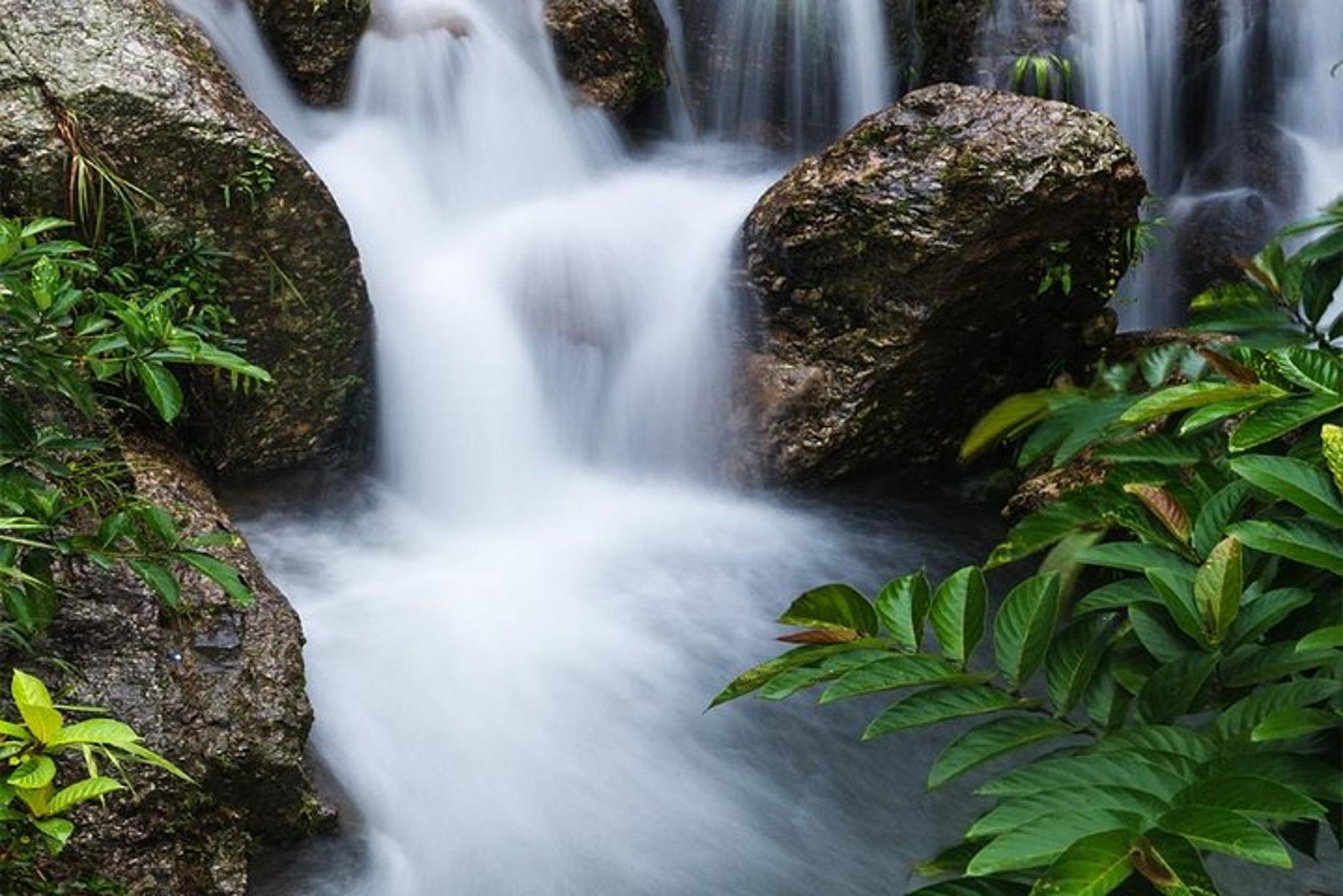 Maui Chocolate and Waterfall Tour - Image 6