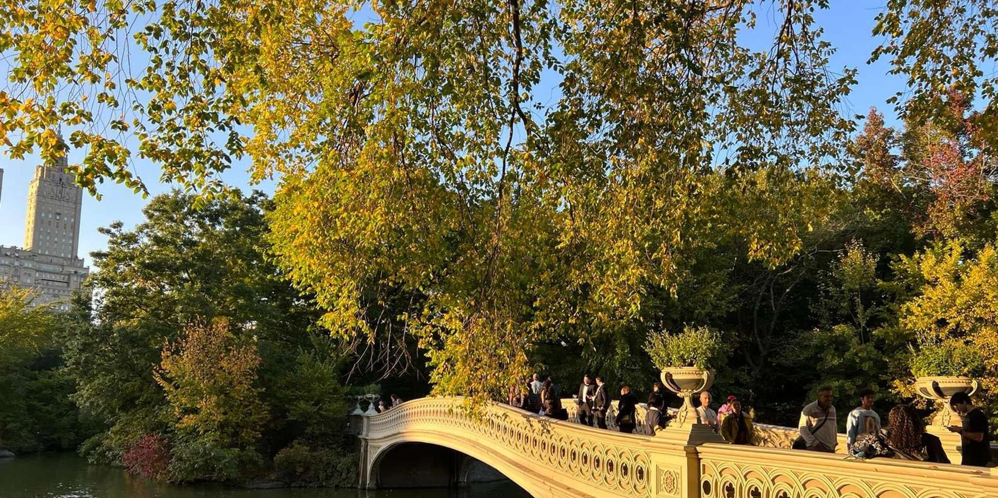 New York Central Park Walking Tour - Image 2