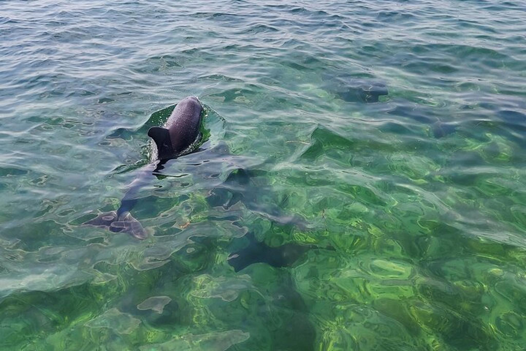 Key West Tiki Boat Eco Cruise - Image 5