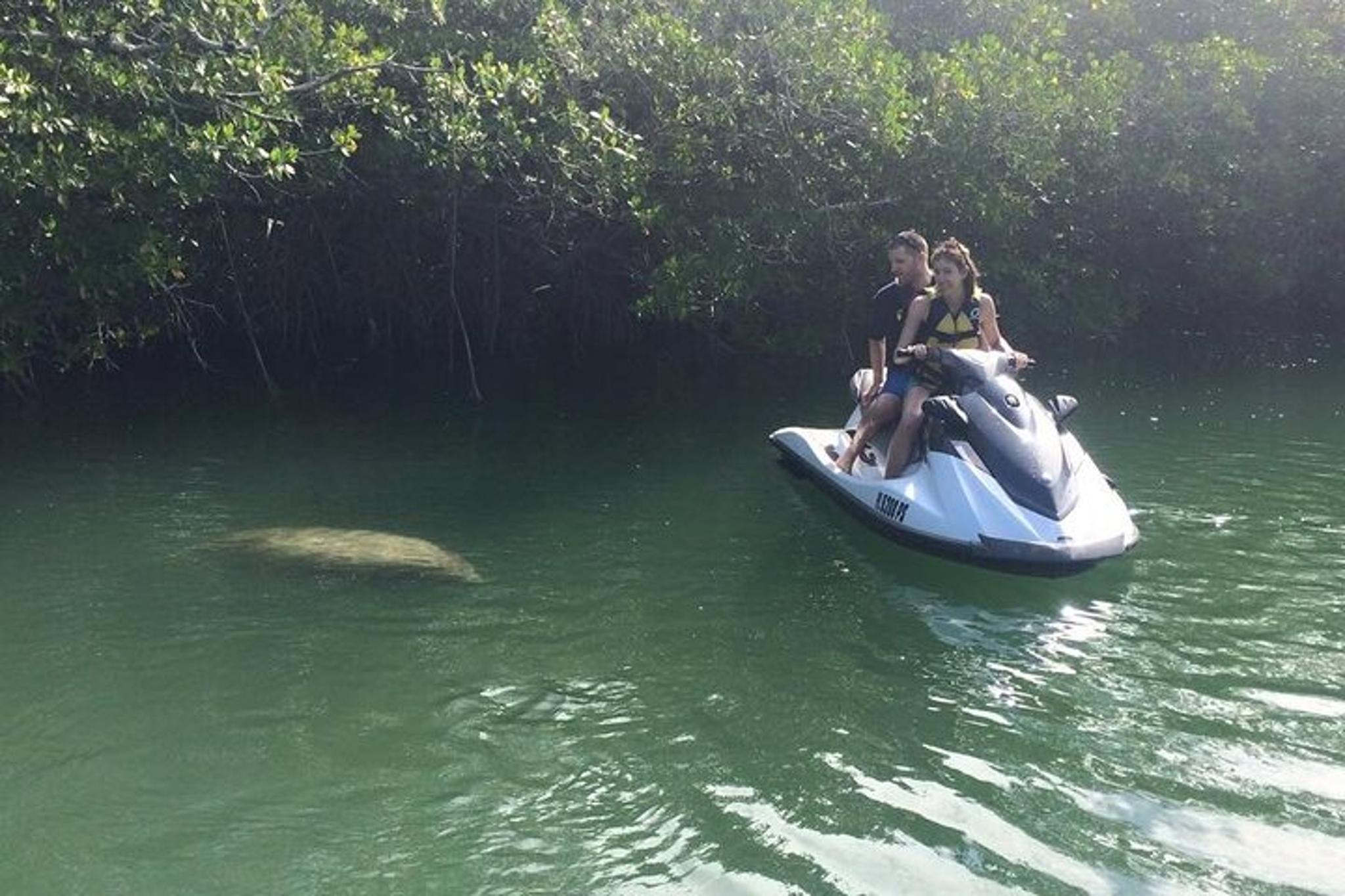 Key Largo Dolphin Jetski Tour at Sunset - Image 3