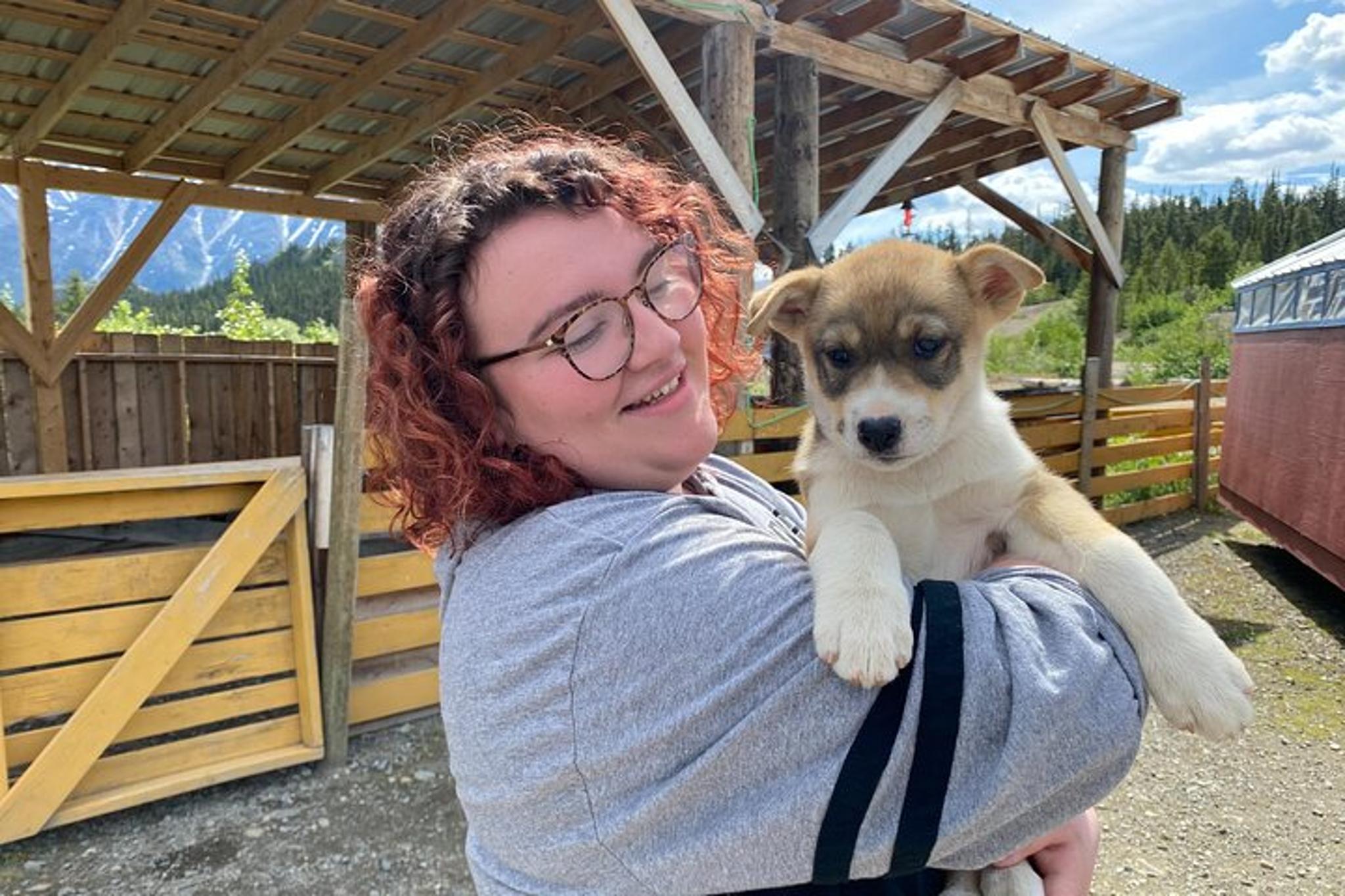 Yukon Sled Dog Tour - Image 4