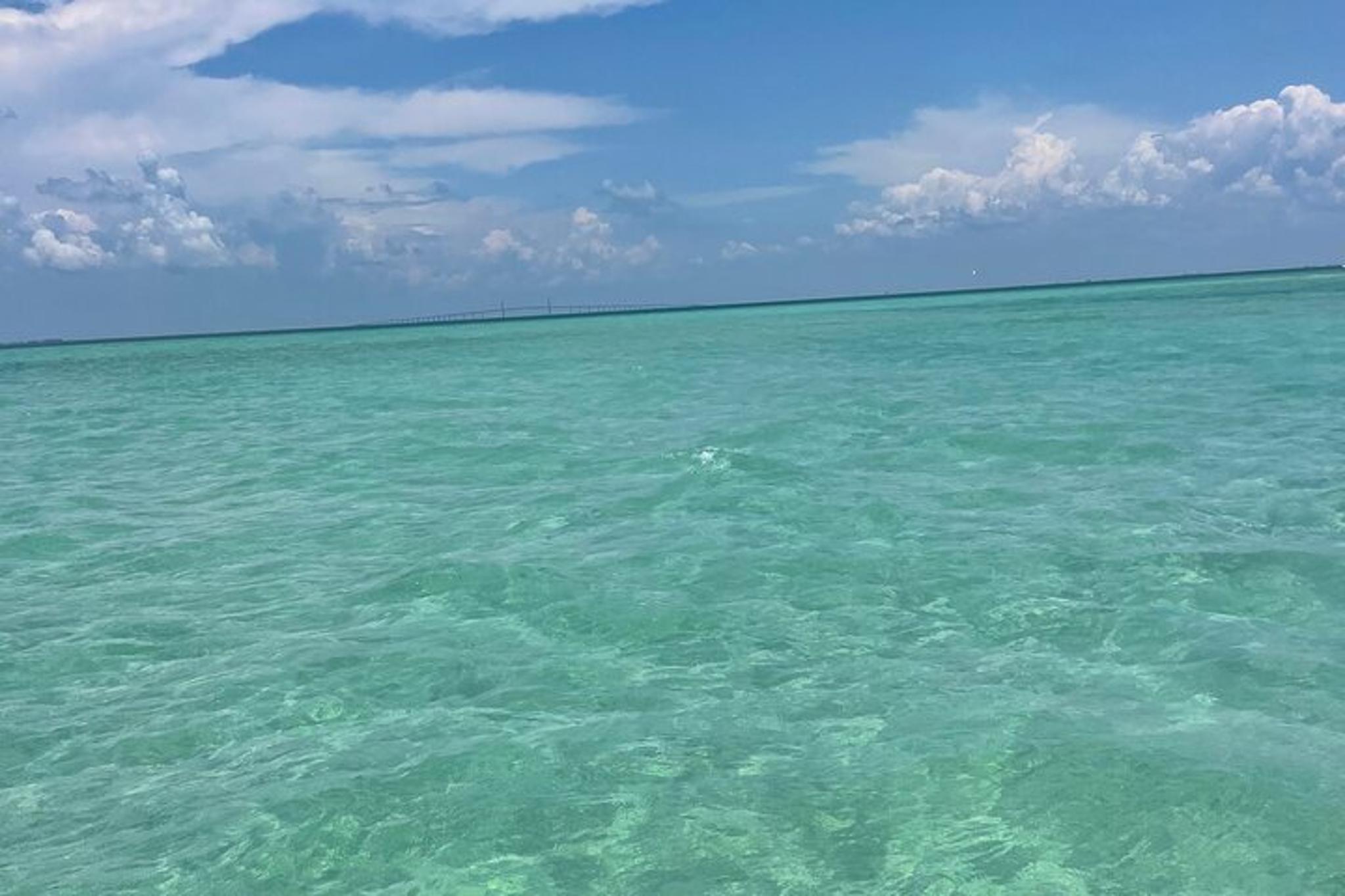 Gulfport Private Snorkeling and Dolphin Tour 4.5 hr - Image 2