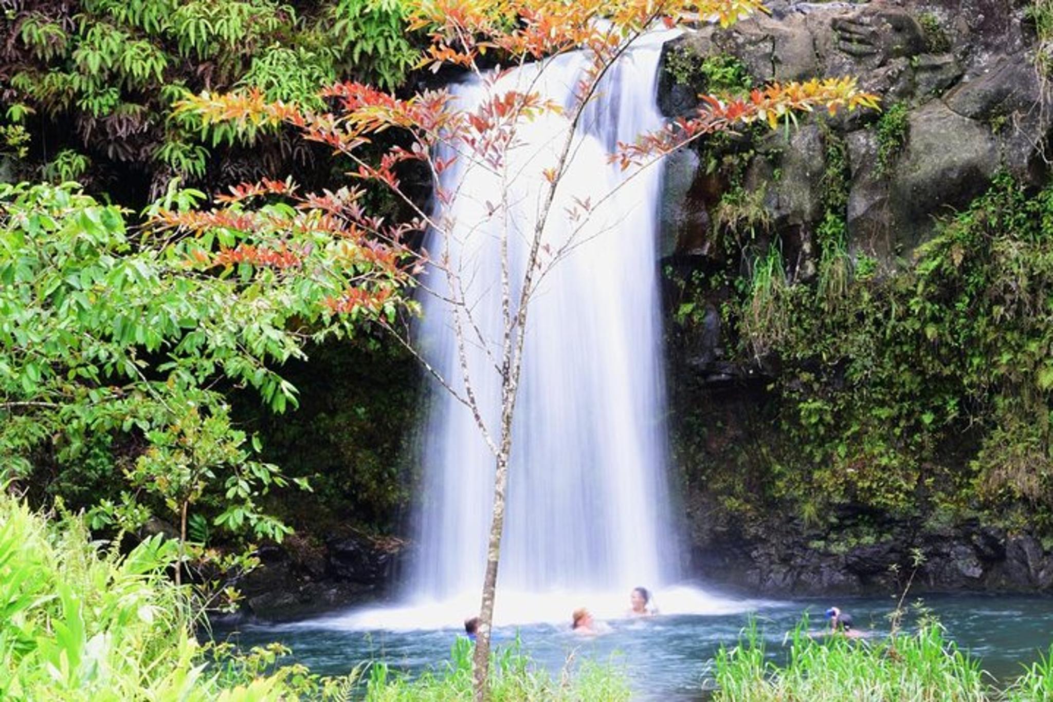 Maui Road to Hana and Ka'eleku Cavern Tour - Image 4