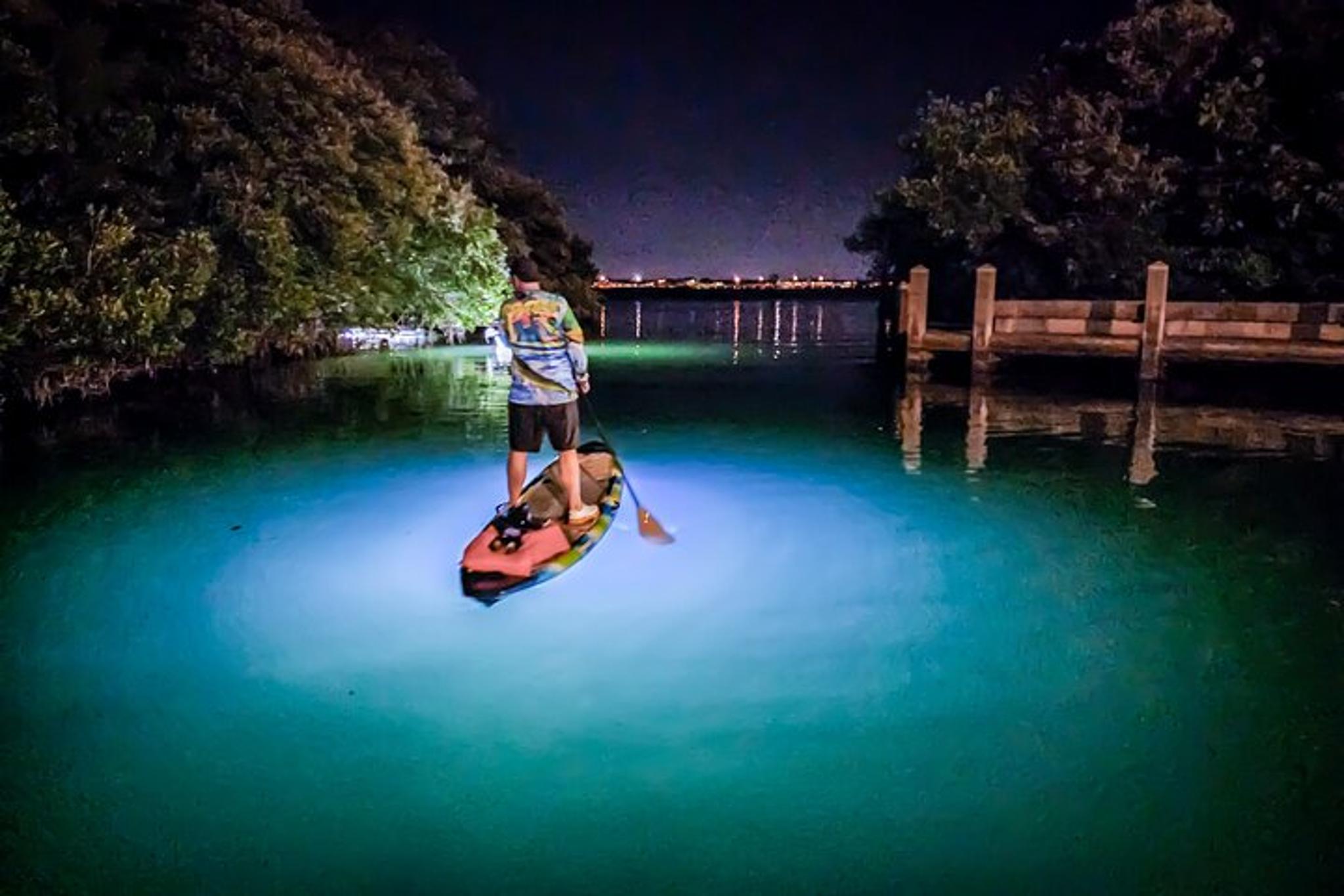 Anna Maria Island Paddleboard Tour - Image 2