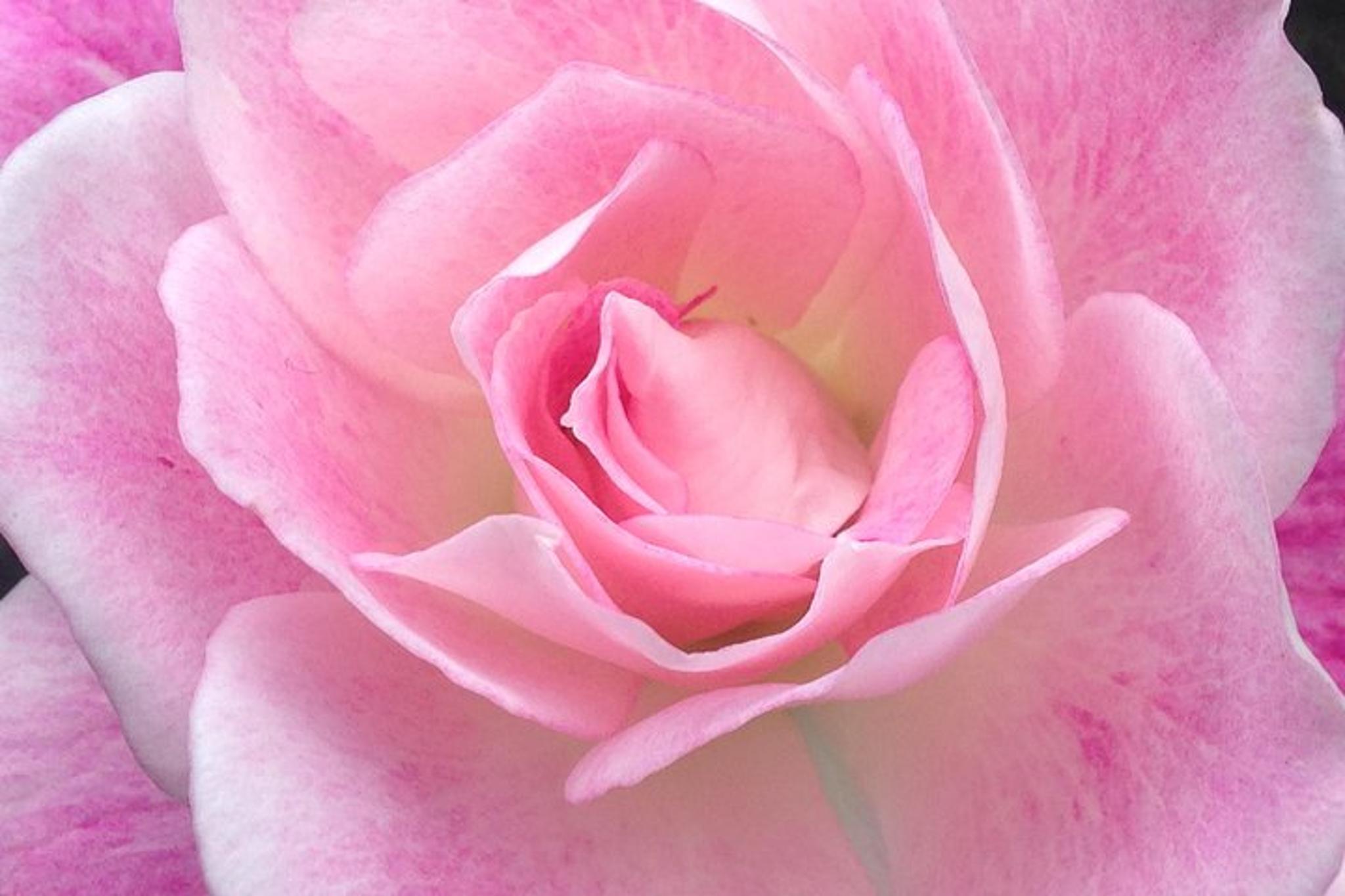 Portland City Tour - Image 3