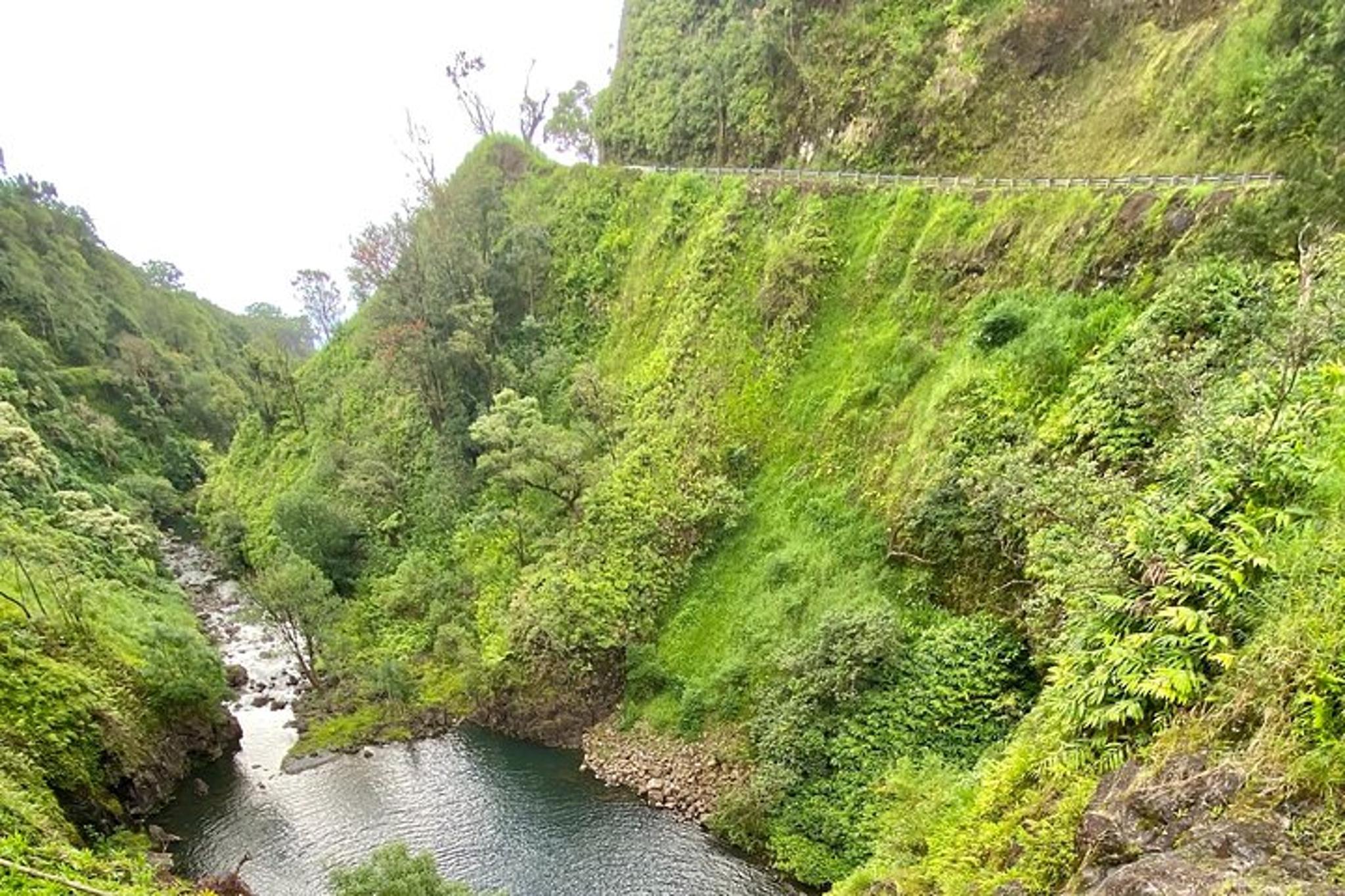 Maui Private Road Tour to Hana - Image 3