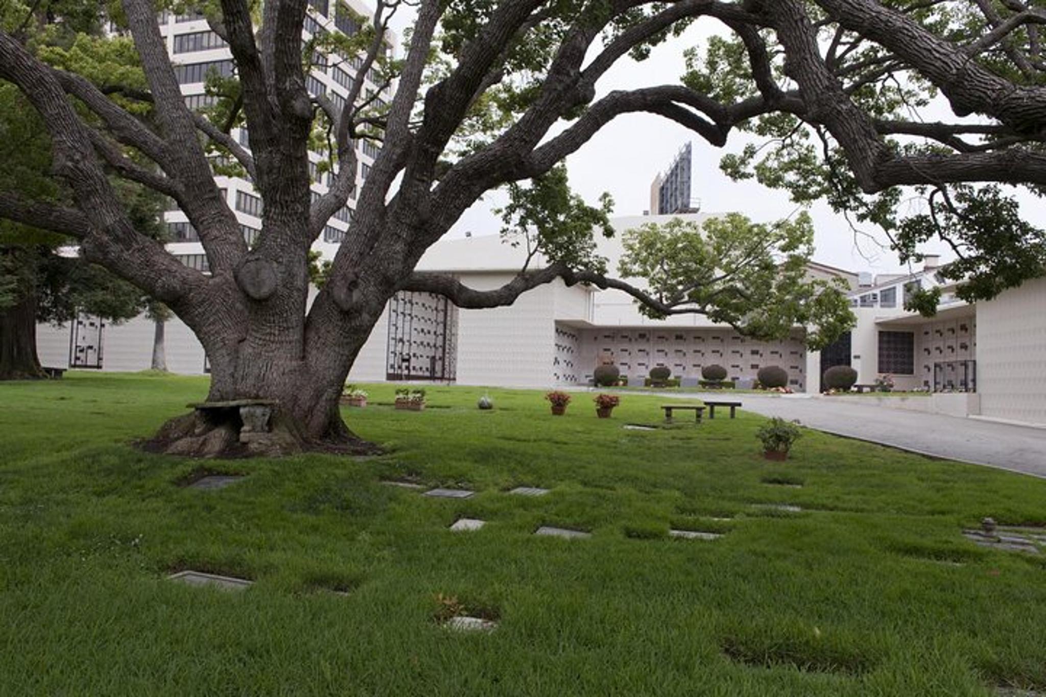Los Angeles Private Tour with Historian and Naturalist - Image 5