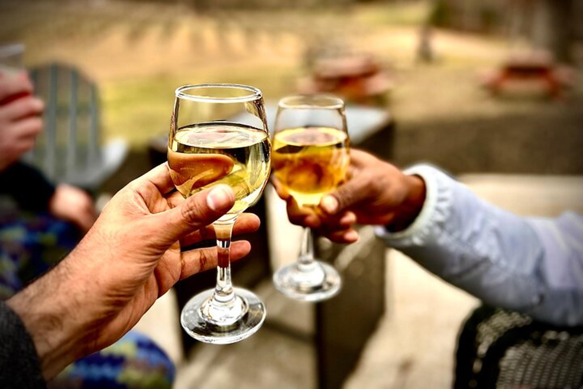 Atlanta Hike and Wine Tasting Tour - Image 2