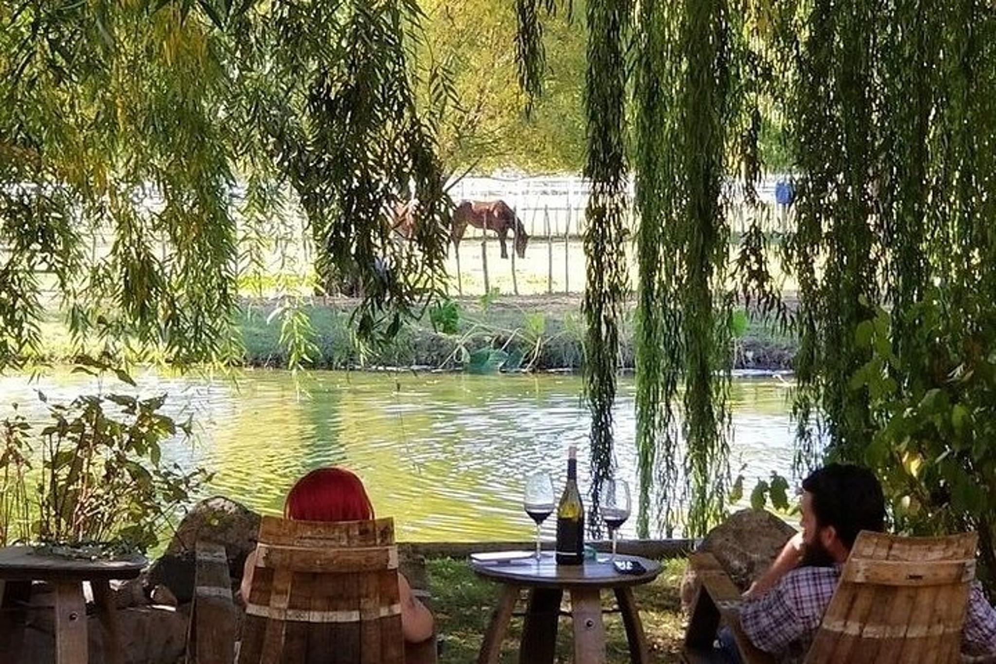 Sedona Tour with Vineyard or Montezuma Ruins from Scottsdale - Image 2