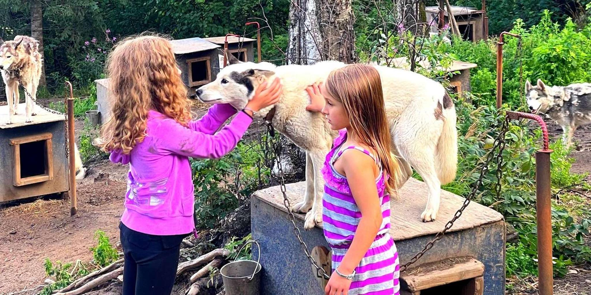 Fairbanks Husky Hiking Tour - Image 2