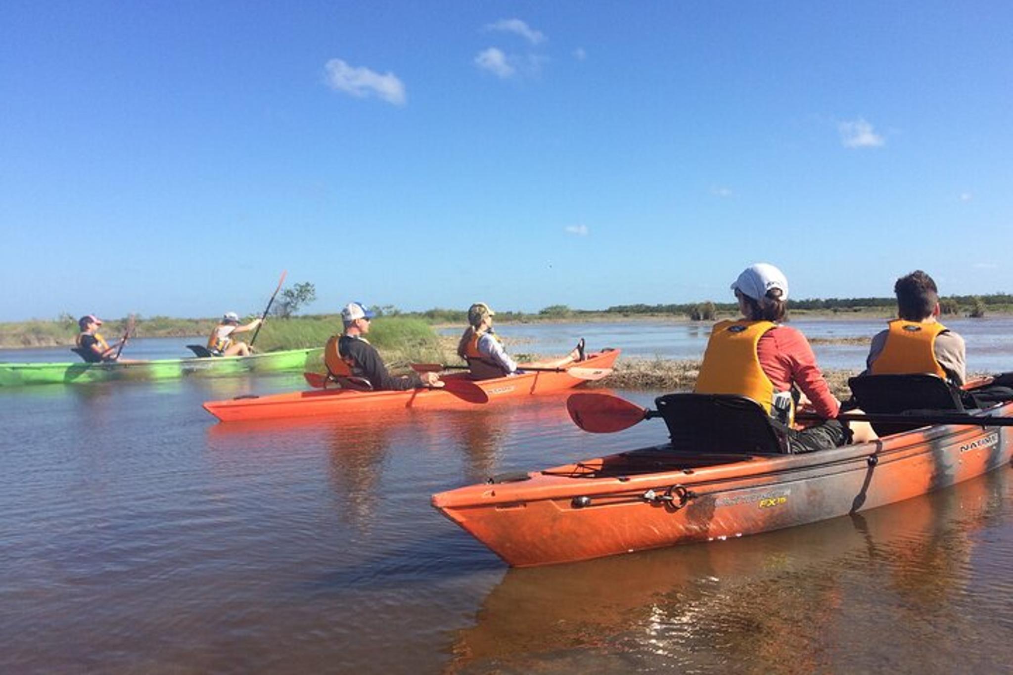 Marco Island Kayak Tour with Manatees and Mangroves - Image 2