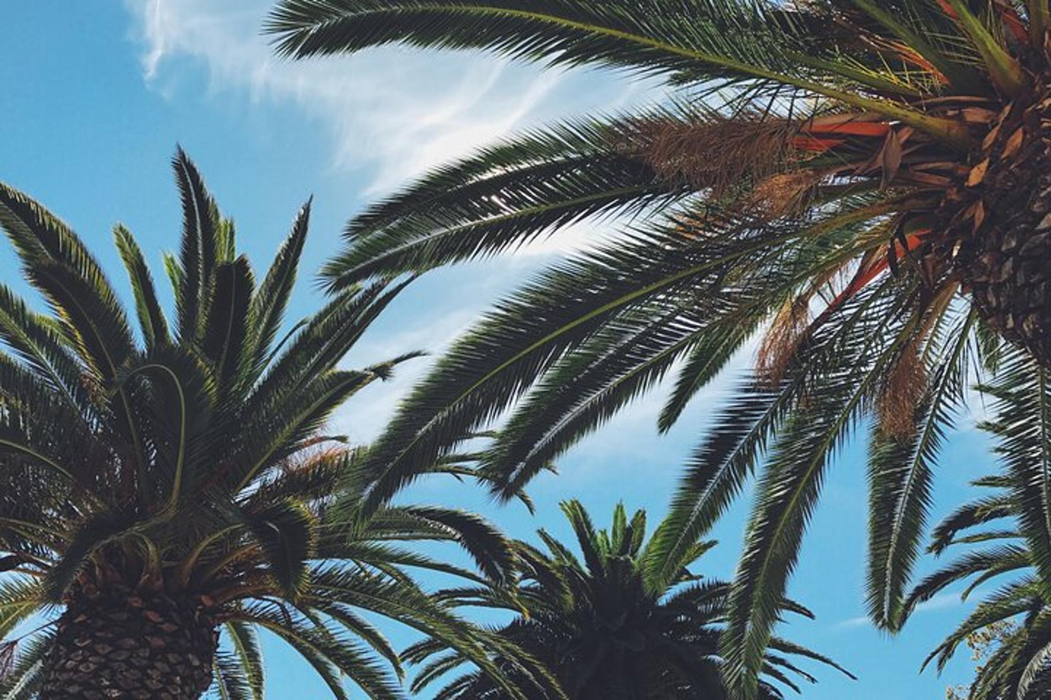 San Jose Walking Tour for Couples - Image 2