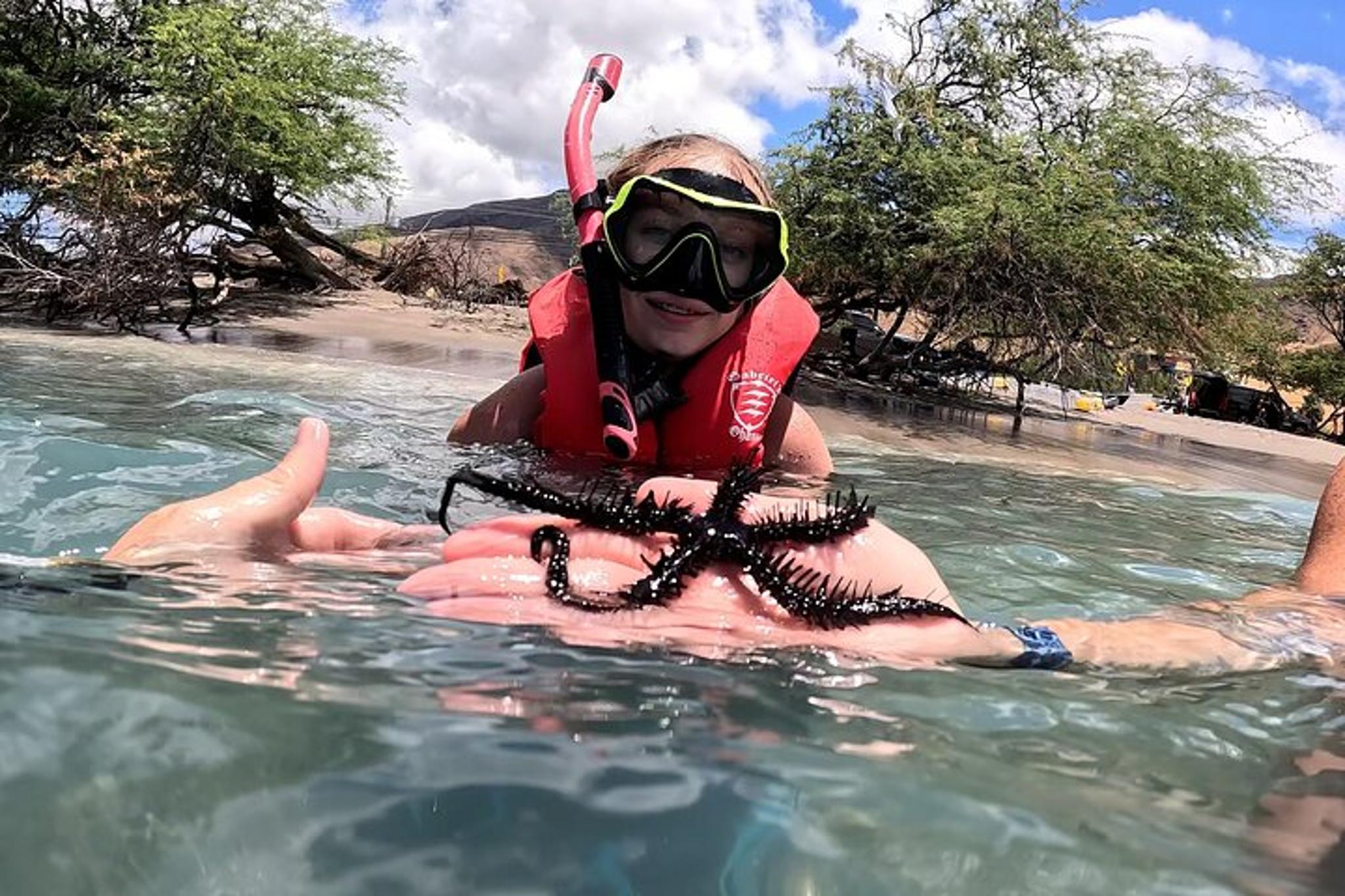 Olowalu Snorkeling Tour for Beginners - Image 2