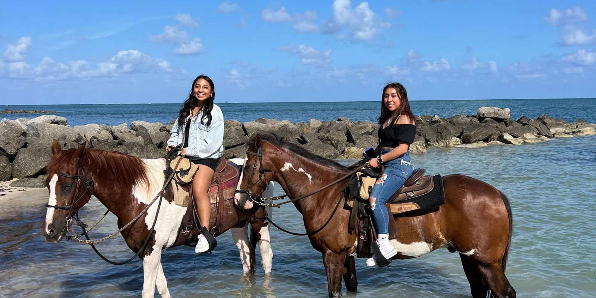 Miami Beach Horse Ride and Nature Trail - Image 4