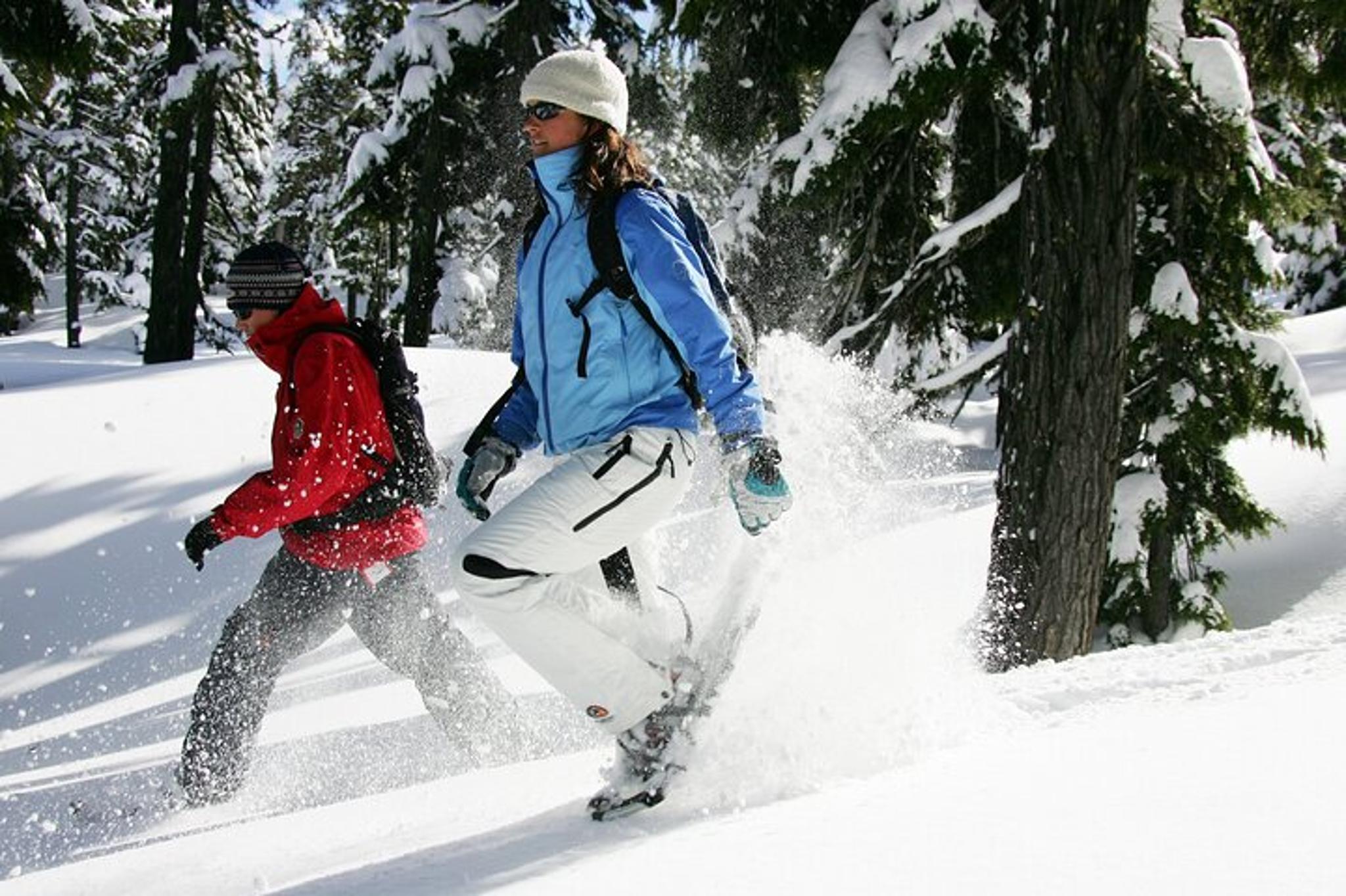 Bend Snowshoe Tour with Brews and Views - Image 6