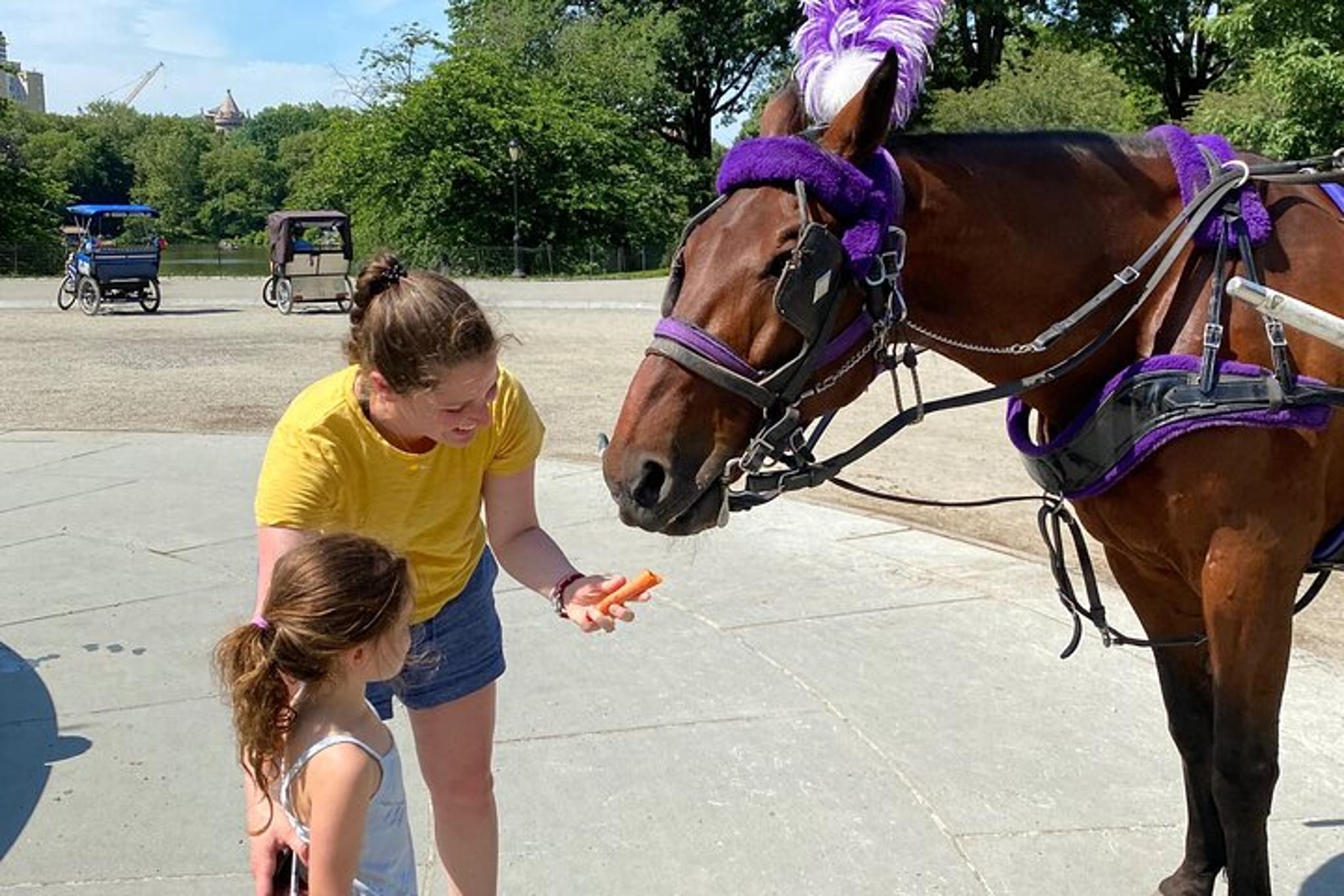 New York Central Park Horse Carriage Ride - Image 6