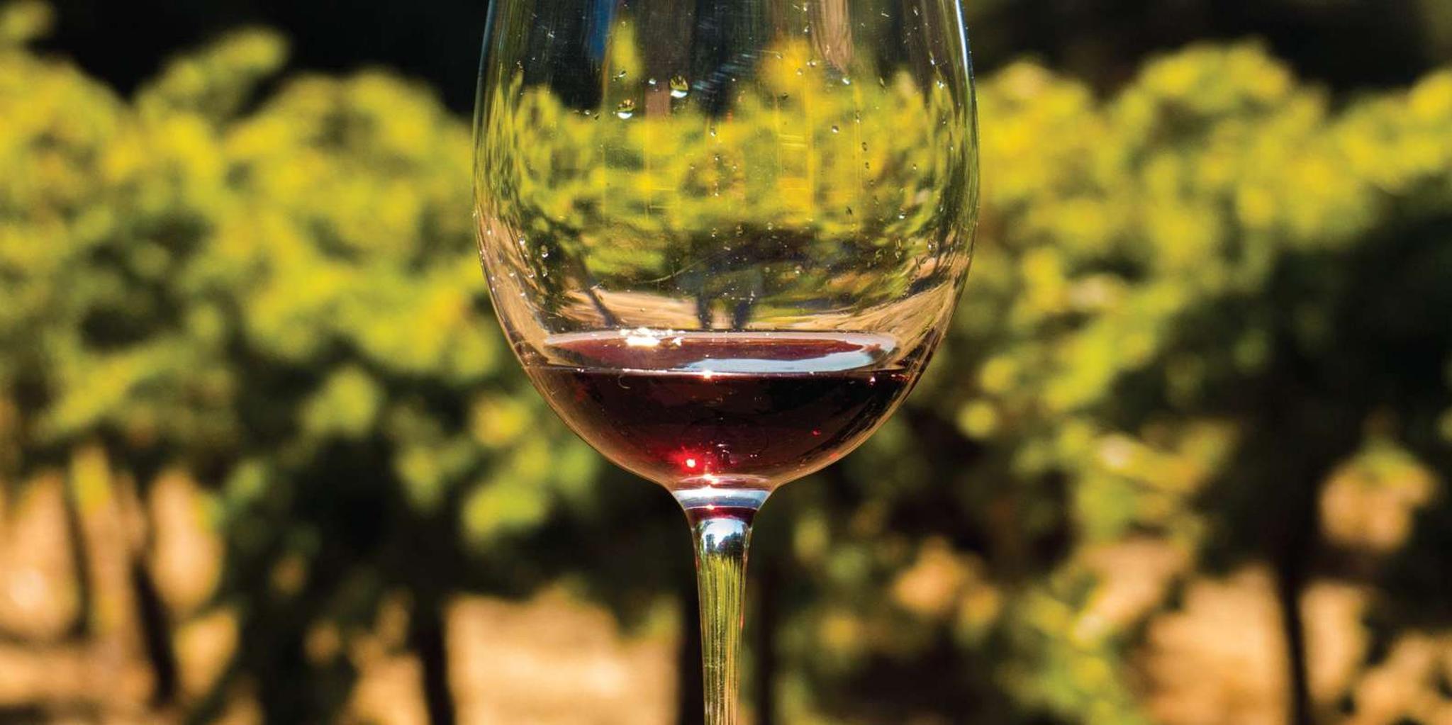 San Francisco Wine and City Tour - Image 2