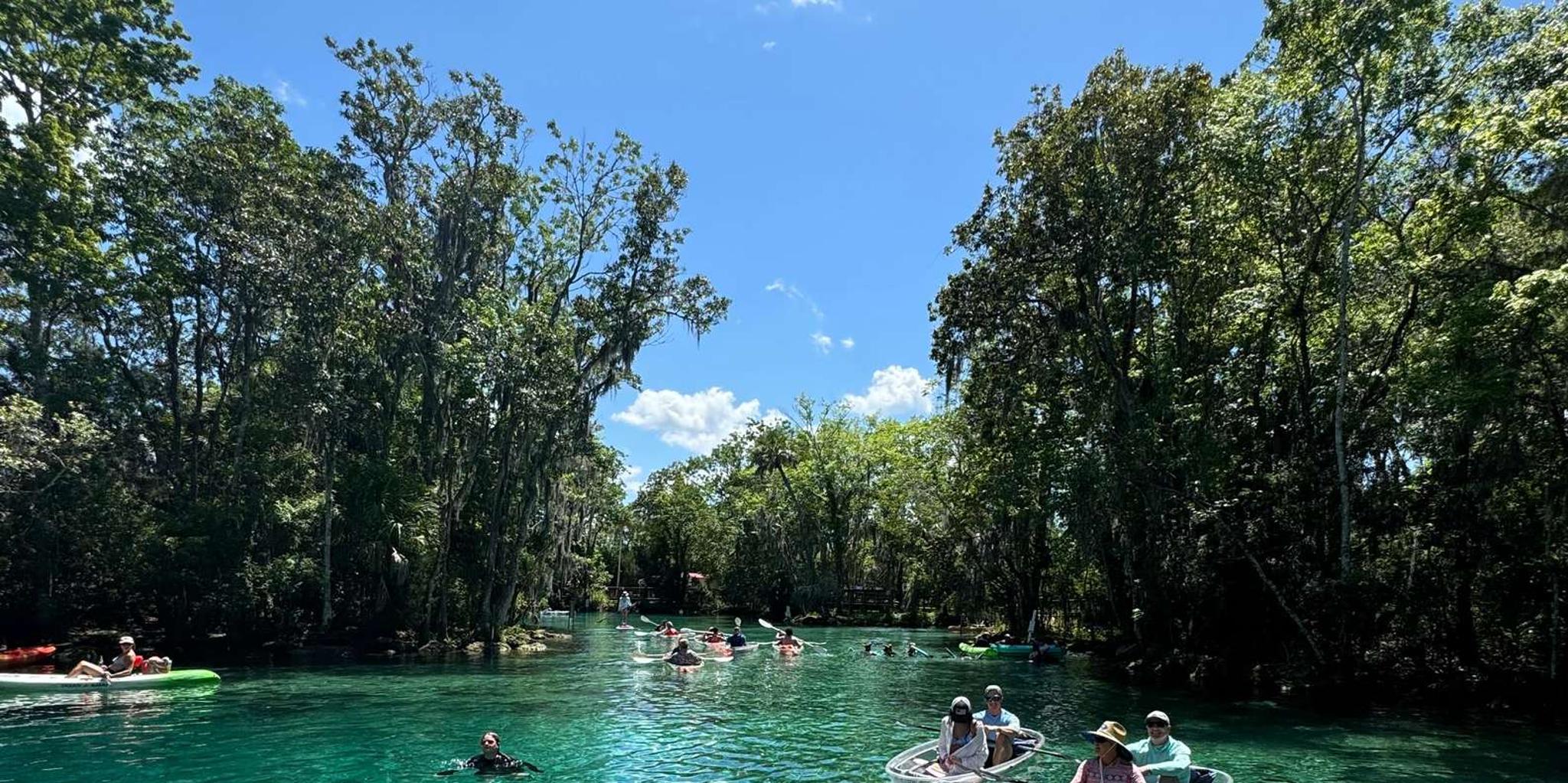 Crystal River Clear Kayak Manatee & Springs Tour 2 hr - Image 2