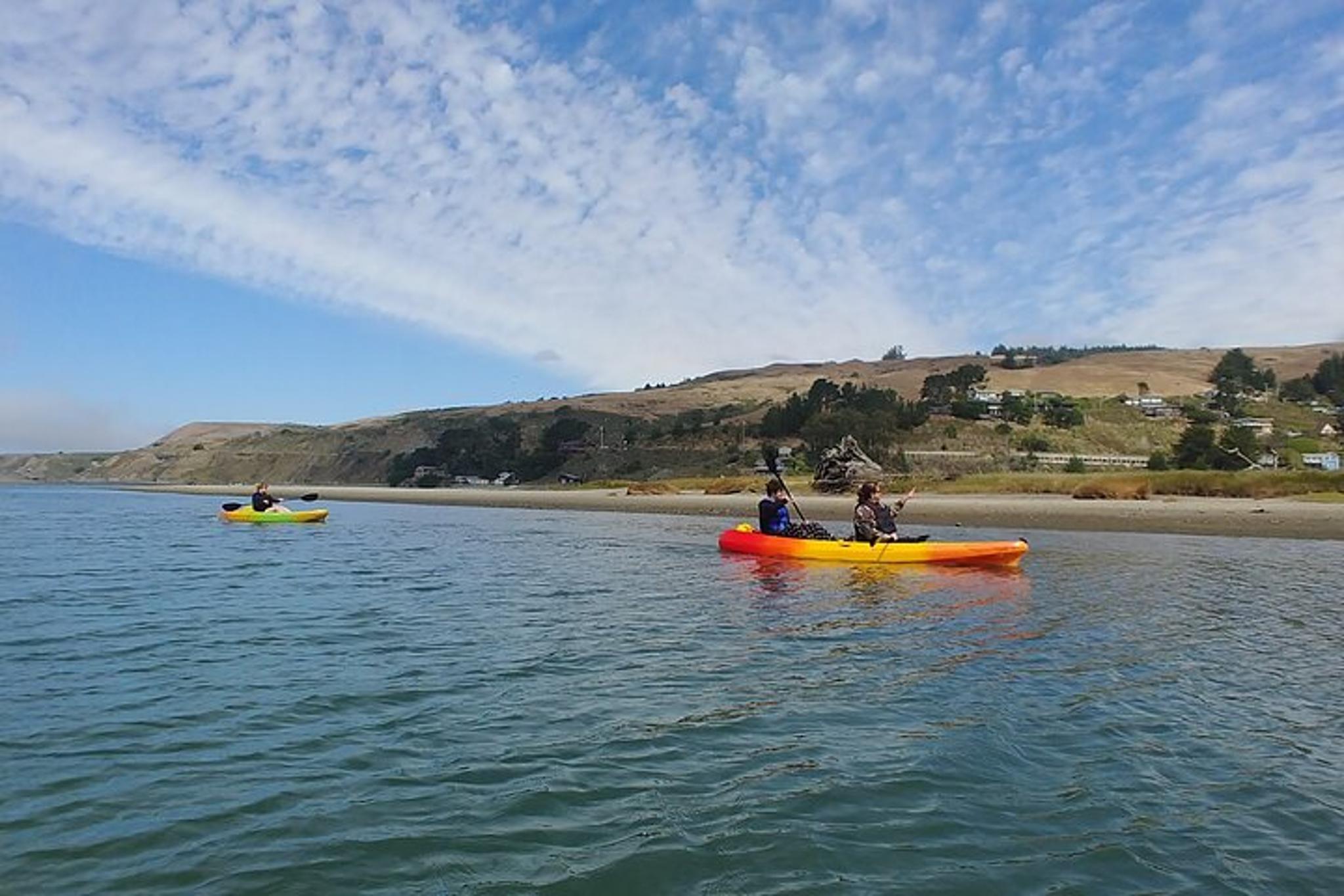 Sonoma Coast Russian River Kayak Tour - Image 4