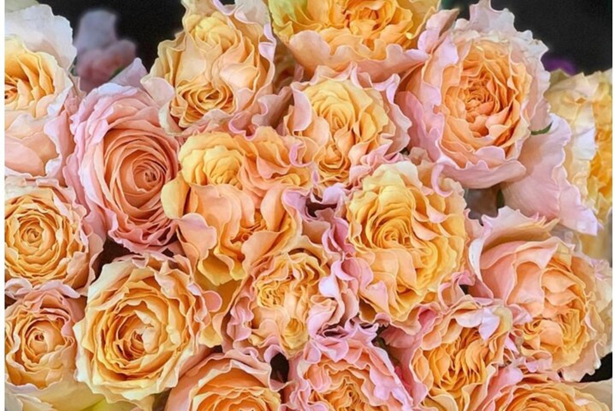 NYC Flower District Walking Tour - Image 4