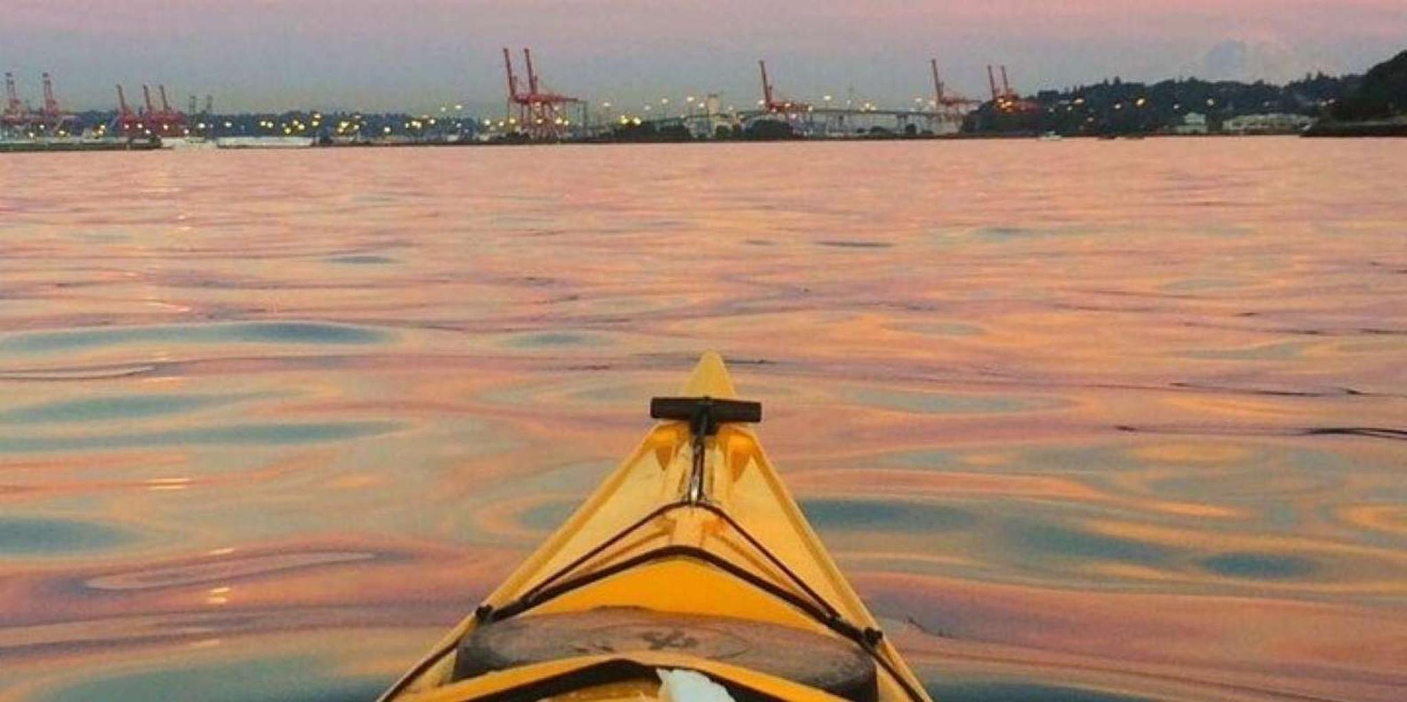 Seattle Sunset Sea Kayak Tour - Image 4