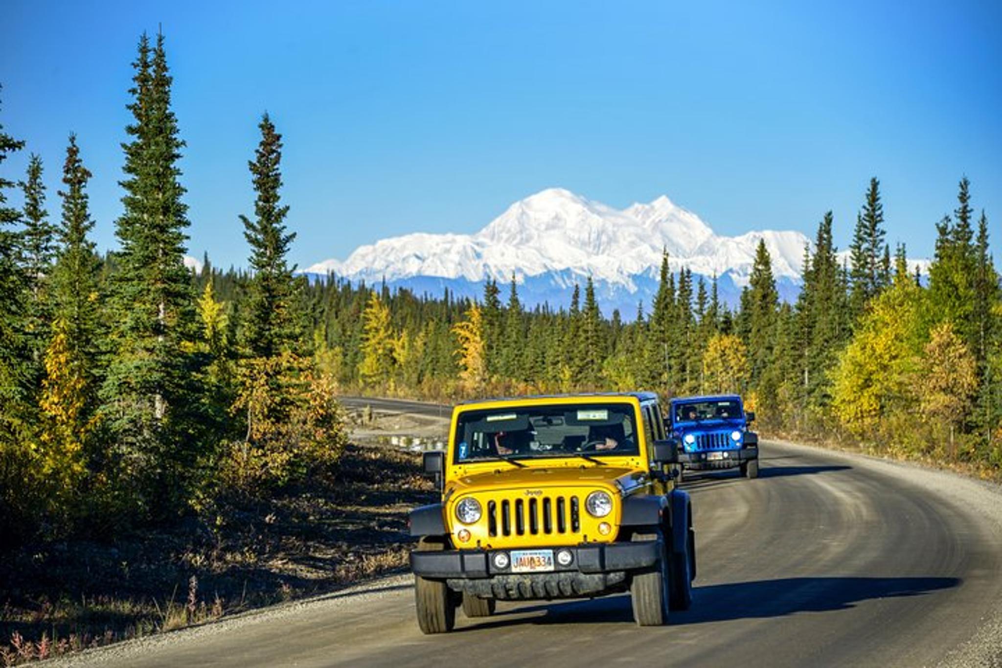 Denali Jeep Excursion - Image 4