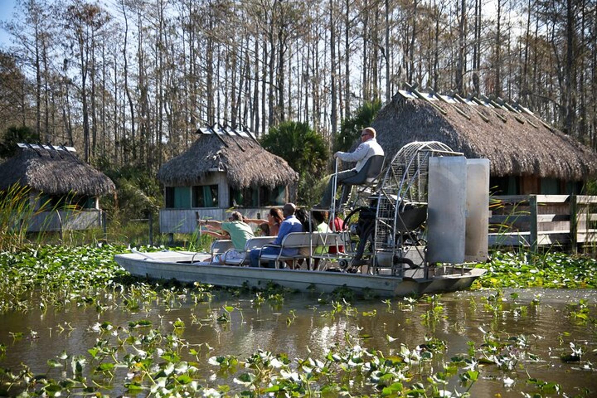 Miami Everglades Airboat Adventure Tour - Image 2