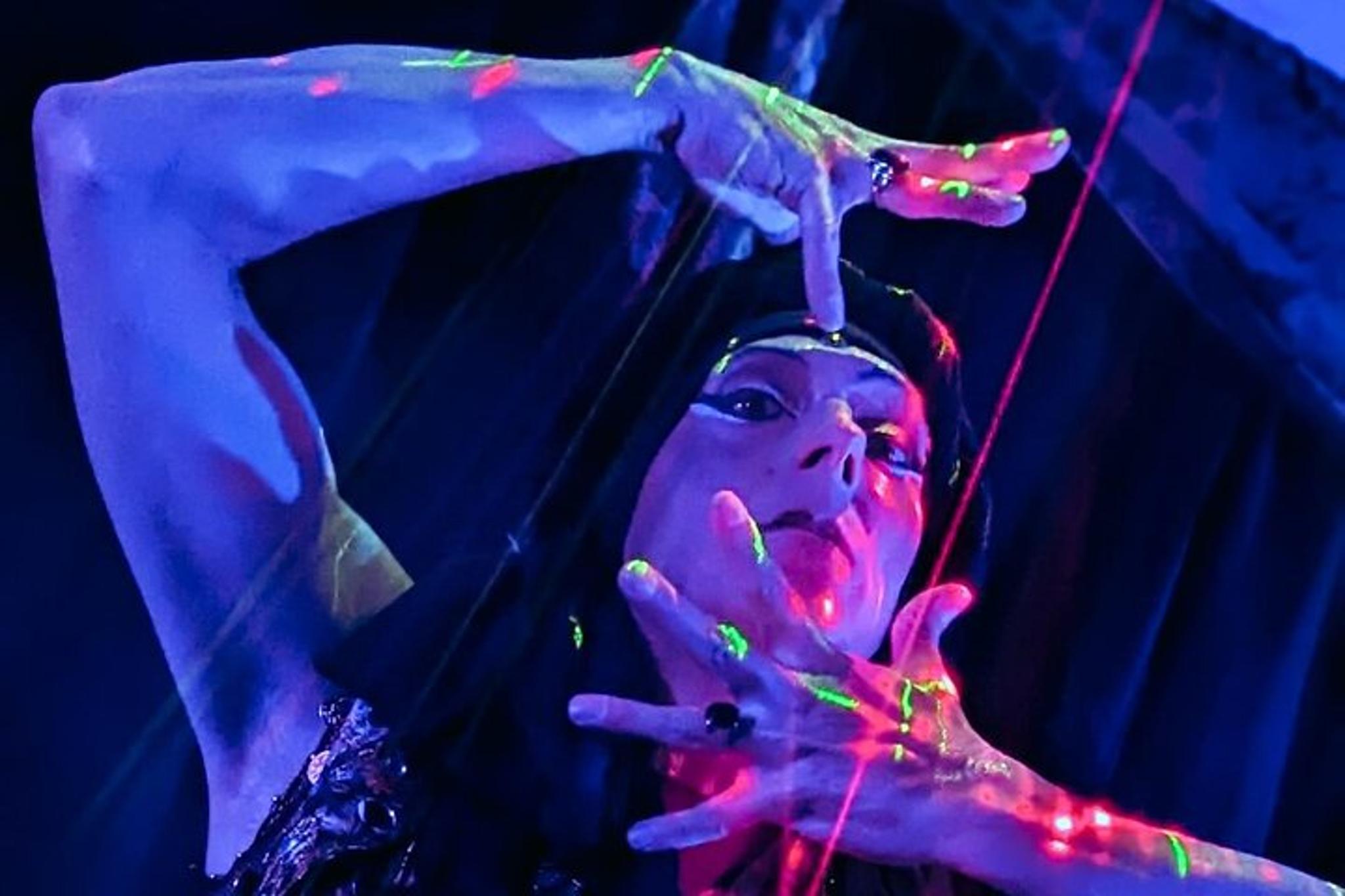 St. Petersburg Dance Live Performance - Image 2