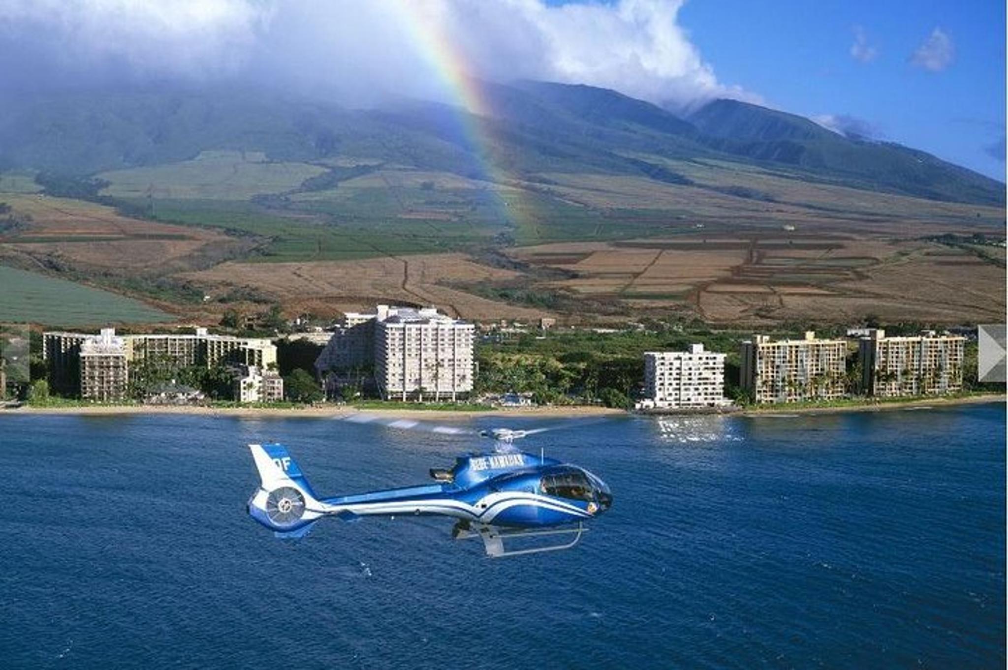 Maui Road to Hana Limo-Van and Helicopter Tour - Image 2