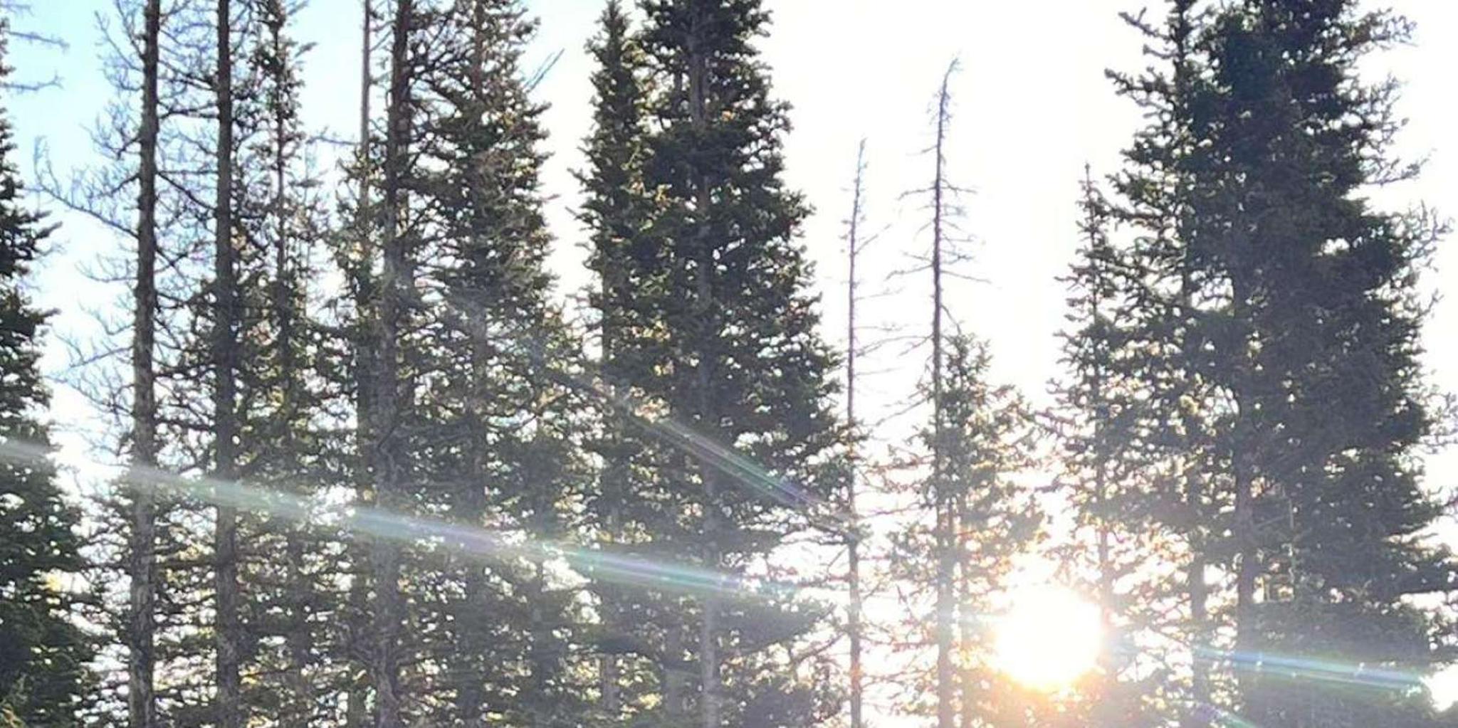 Rocky Mountain National Park Sunrise Guided Hike - Image 3