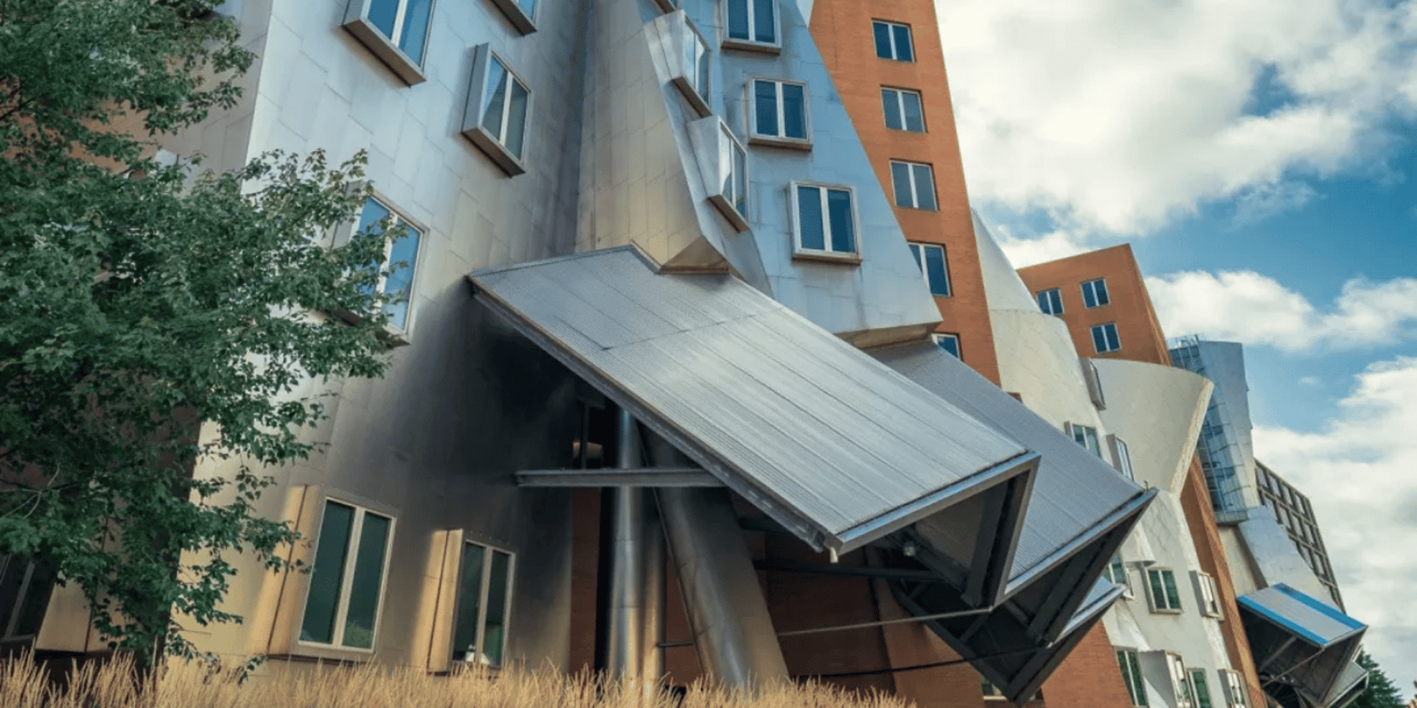 Cambridge MIT Guided Walking Tour - Image 5