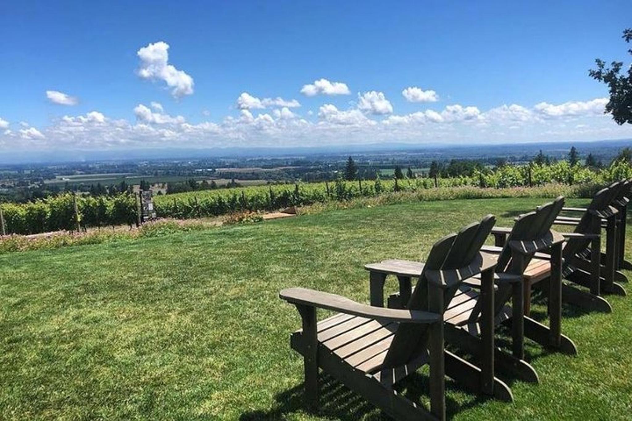 Portland Wine Tasting Tour in Willamette Valley - Image 6