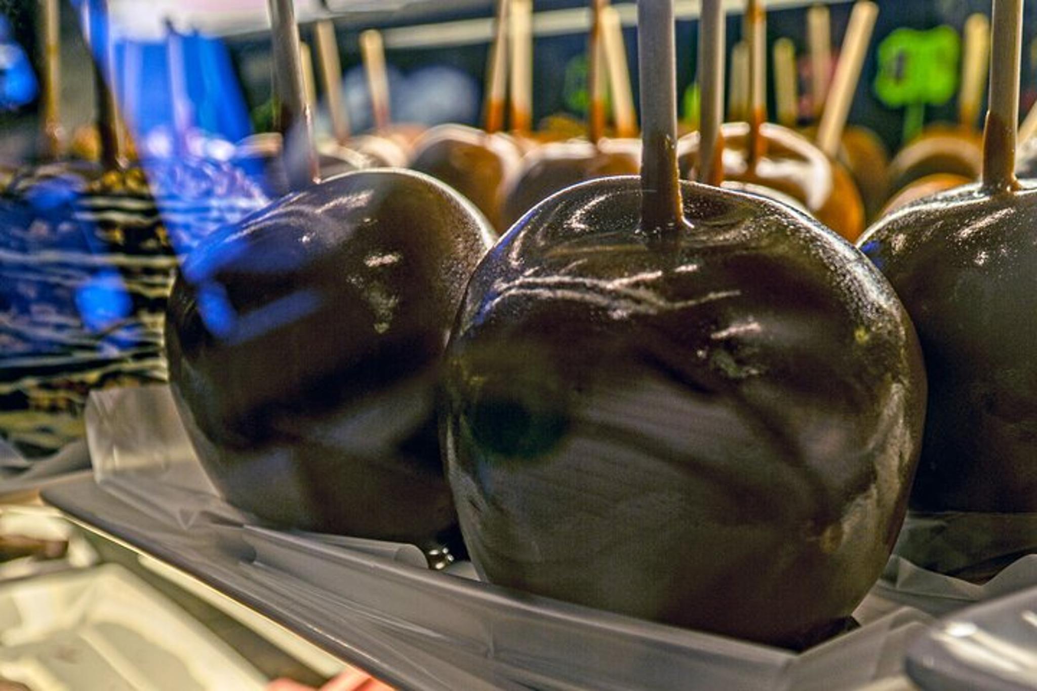 Pensacola Food Tour - Image 6