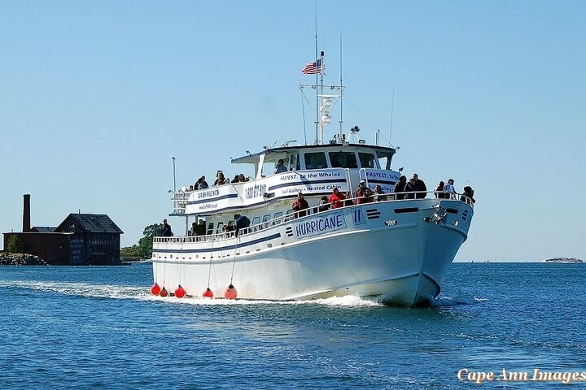 Gloucester Whale Watching Tour - Image 2