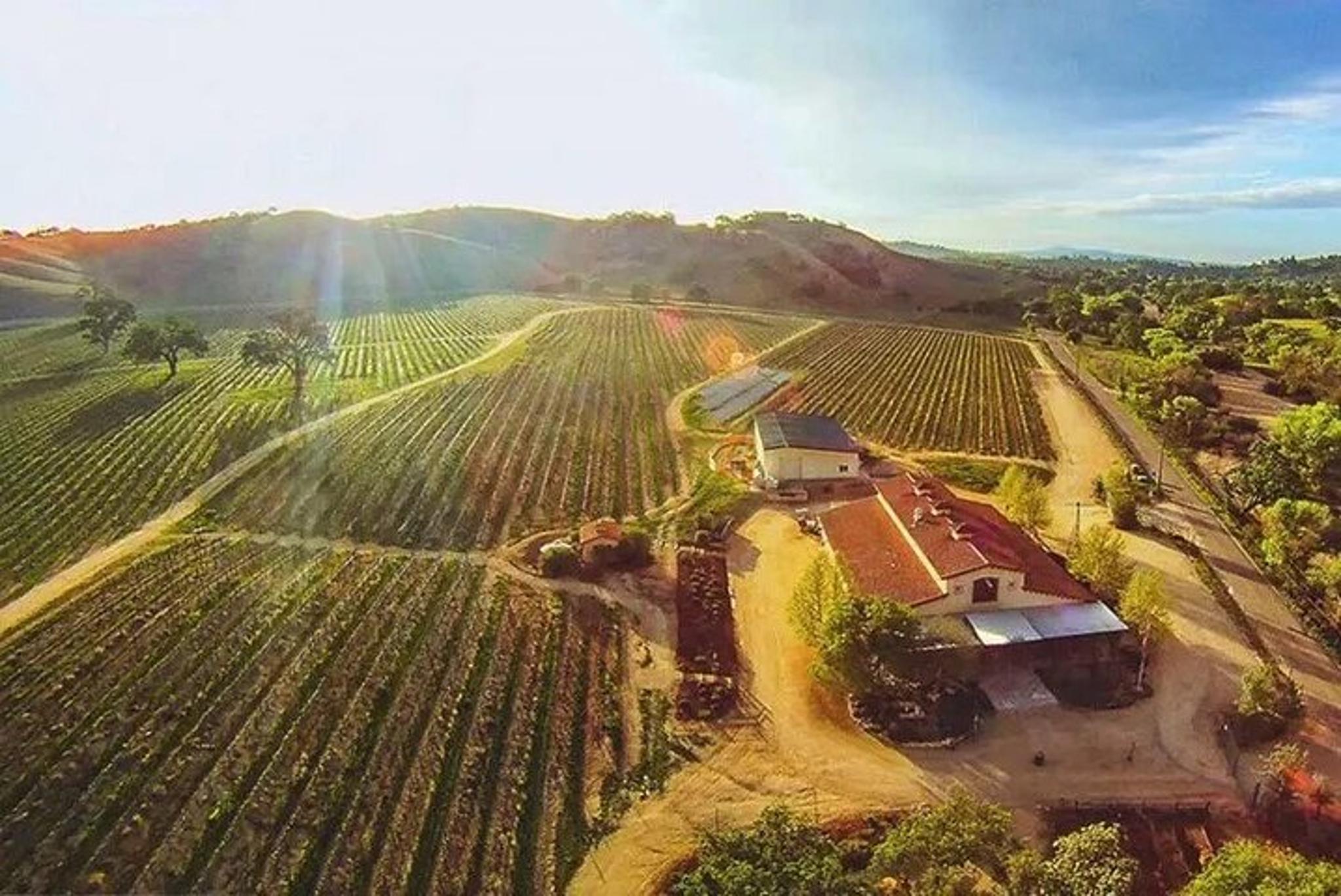 Paso Robles Private Flight Experience - Image 3