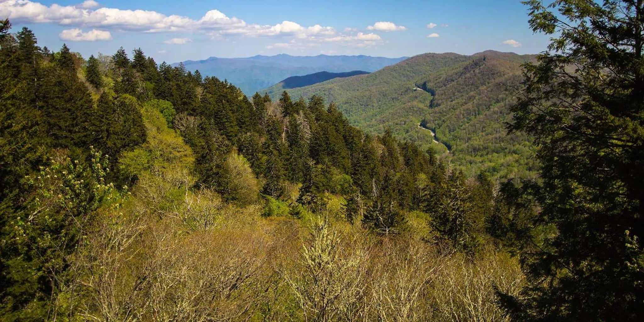 Pigeon Forge Smoky Mountains Jeep Tour - Image 3