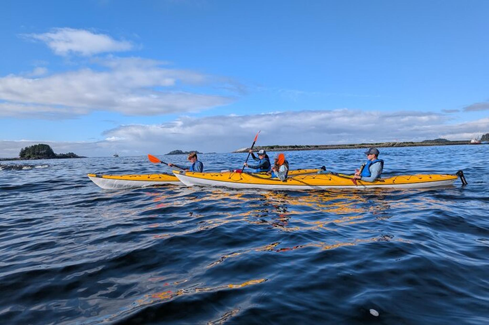 Sitka Kayak Paddle Adventure - Image 4
