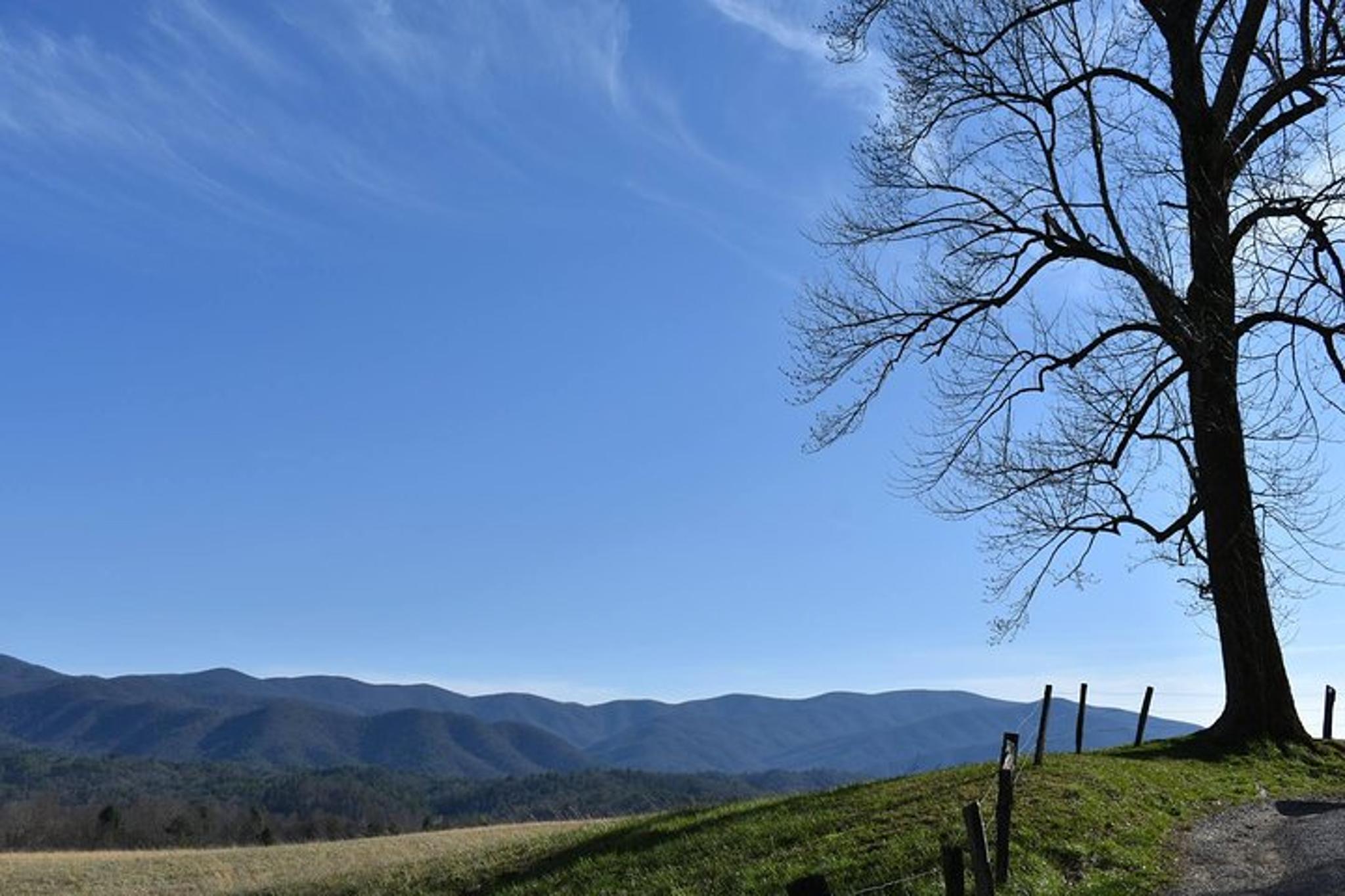 Pigeon Forge Cades Cove Sightseeing Bus Tour - Image 5