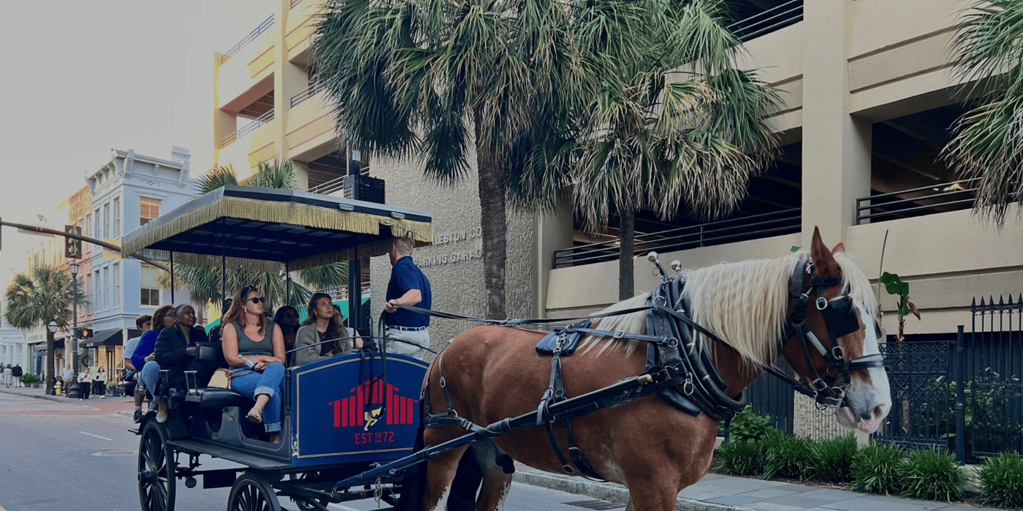 Charleston Horse-Drawn Carriage Tour - Image 3