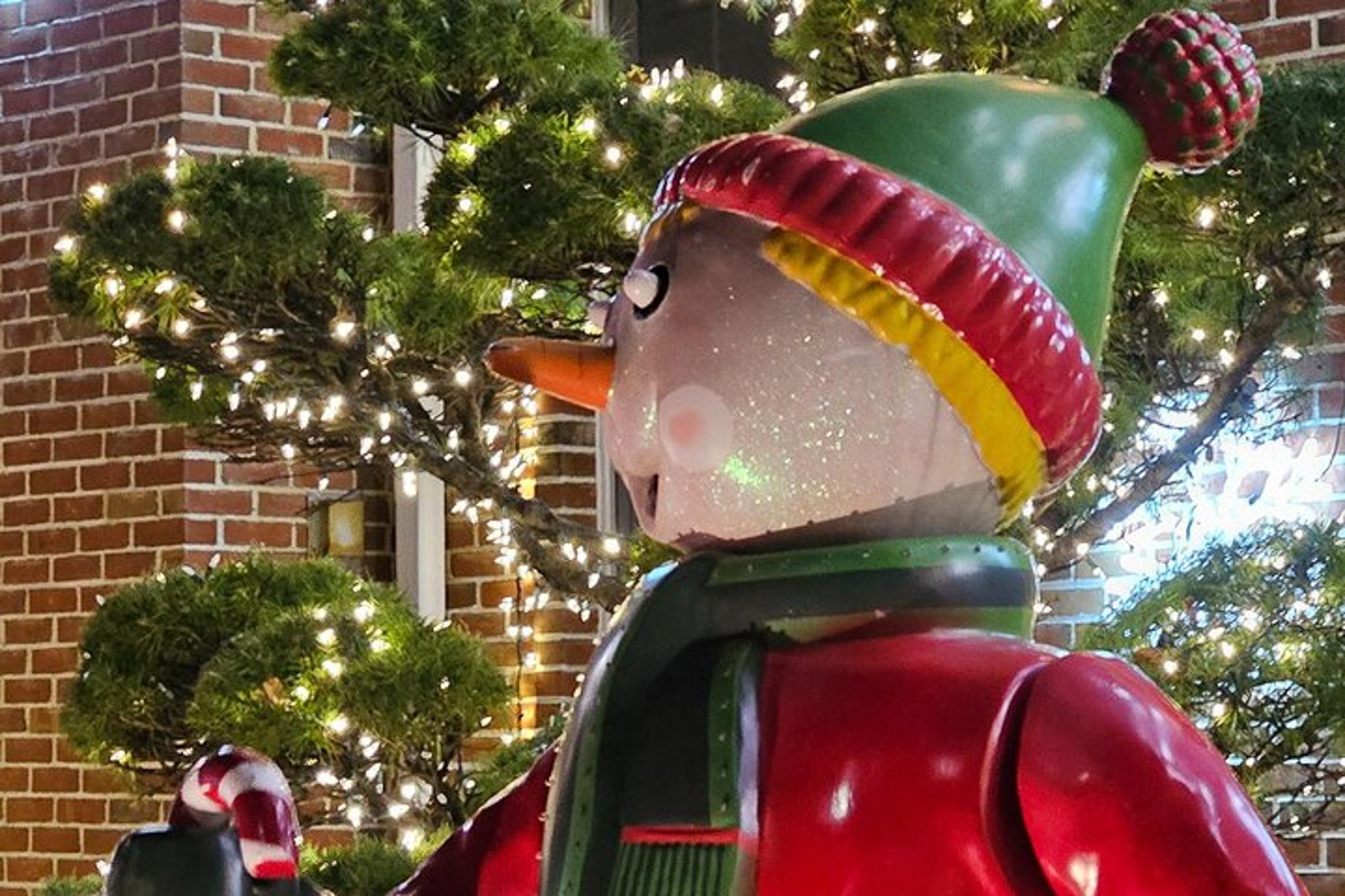 New York City Holiday Lights Tour - Image 4
