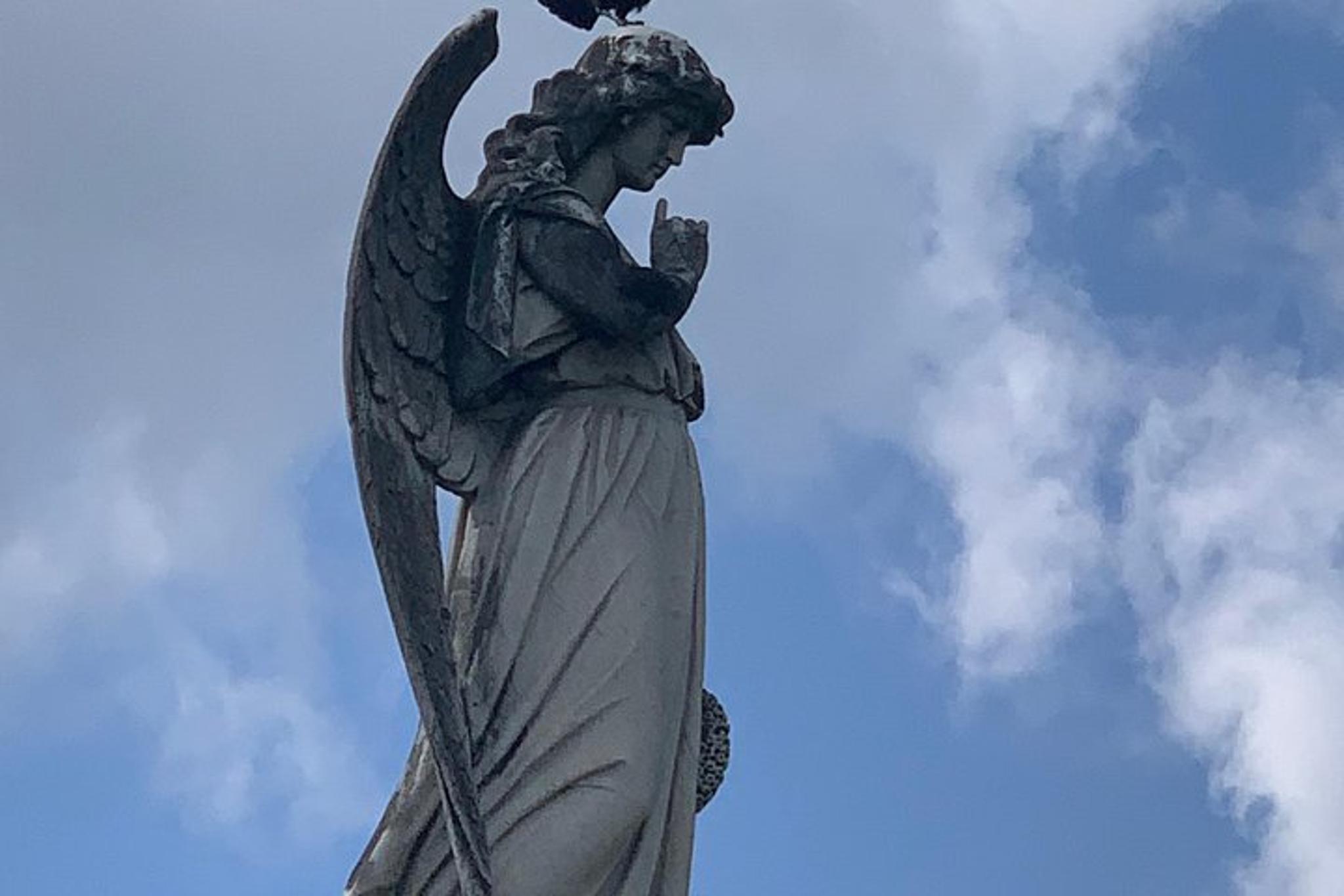 New Orleans Private Driving & Walking Tour - Image 4