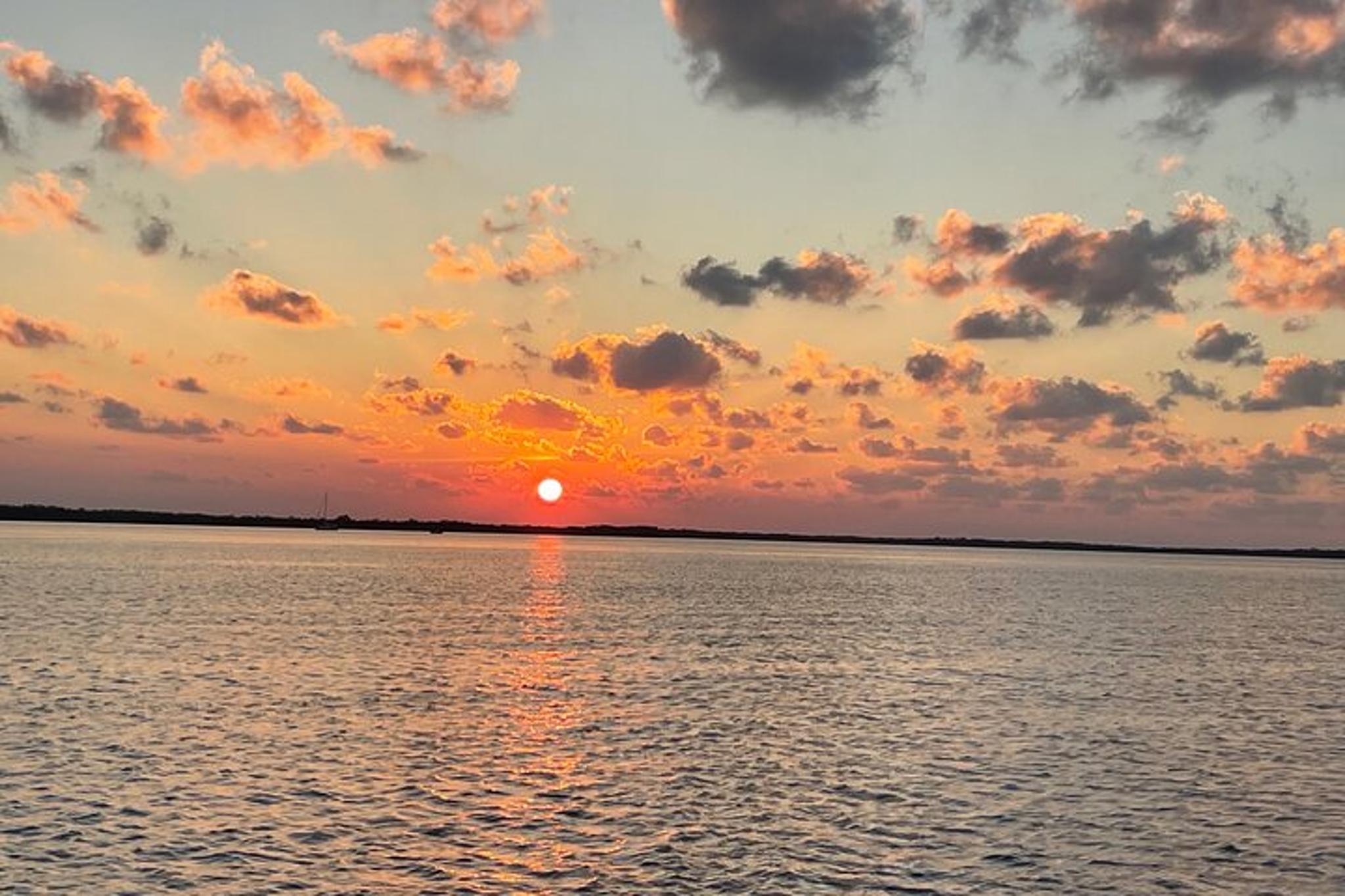 Key Largo Dolphin Tour - Image 4