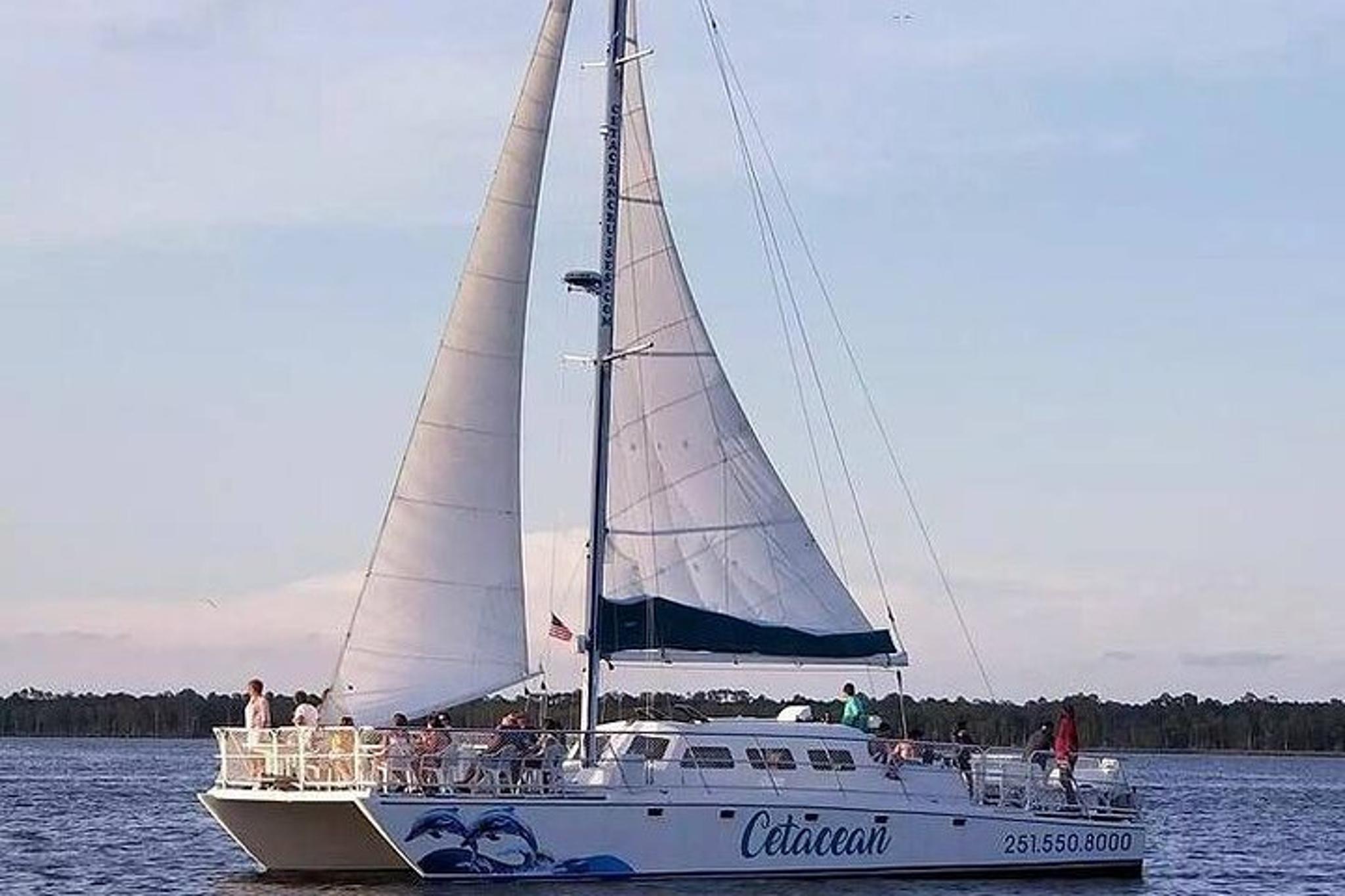 Orange Beach Dolphin Sailing Cruise - Image 5