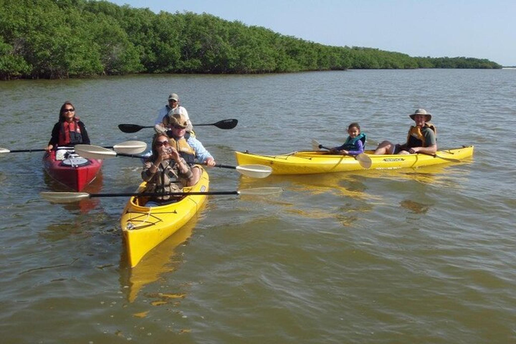 Everglades Boating, Kayaking, and Walking Eco Tour - Image 3