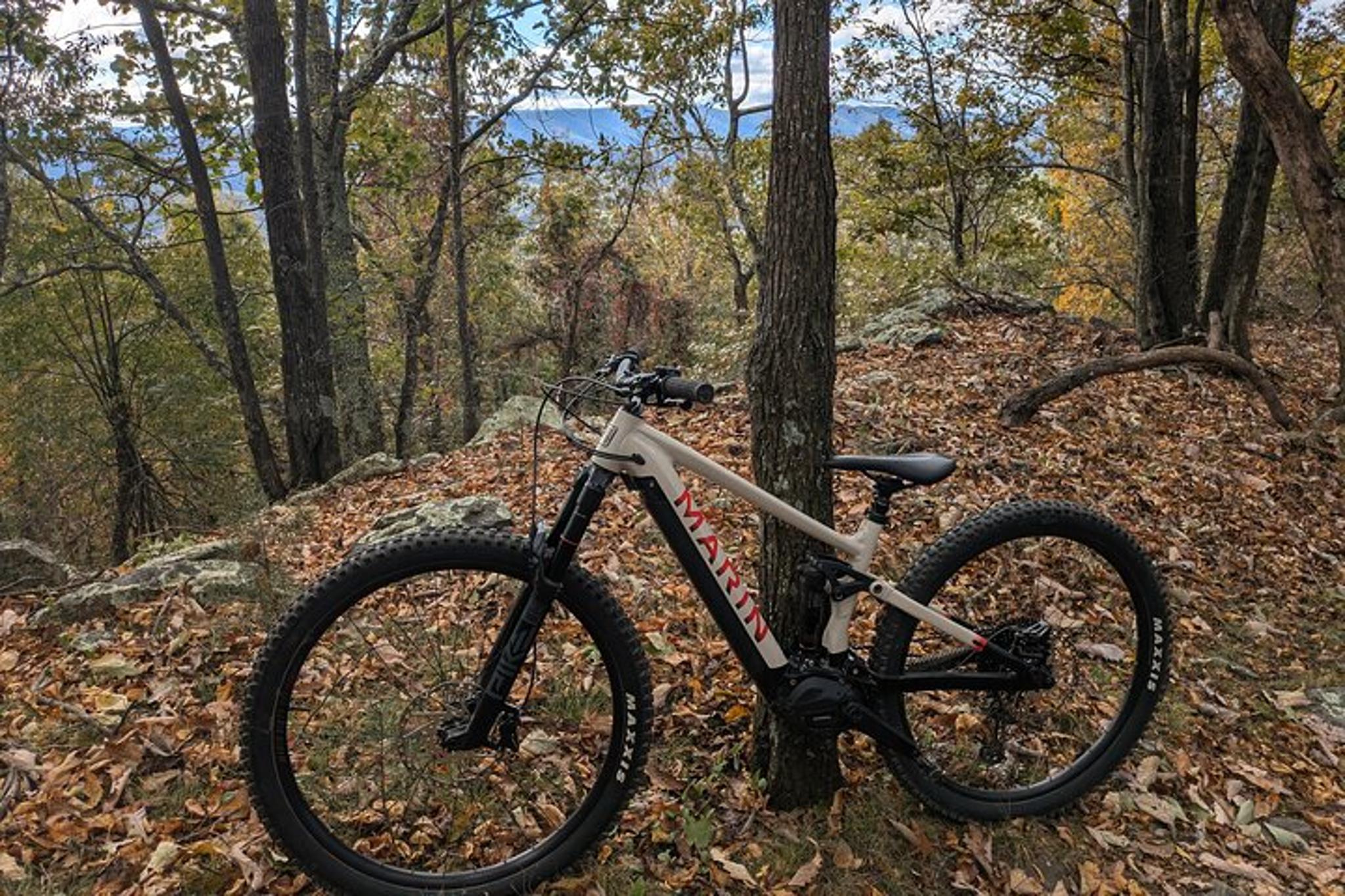 Roanoke E-Mountain Bike Tour - Image 5